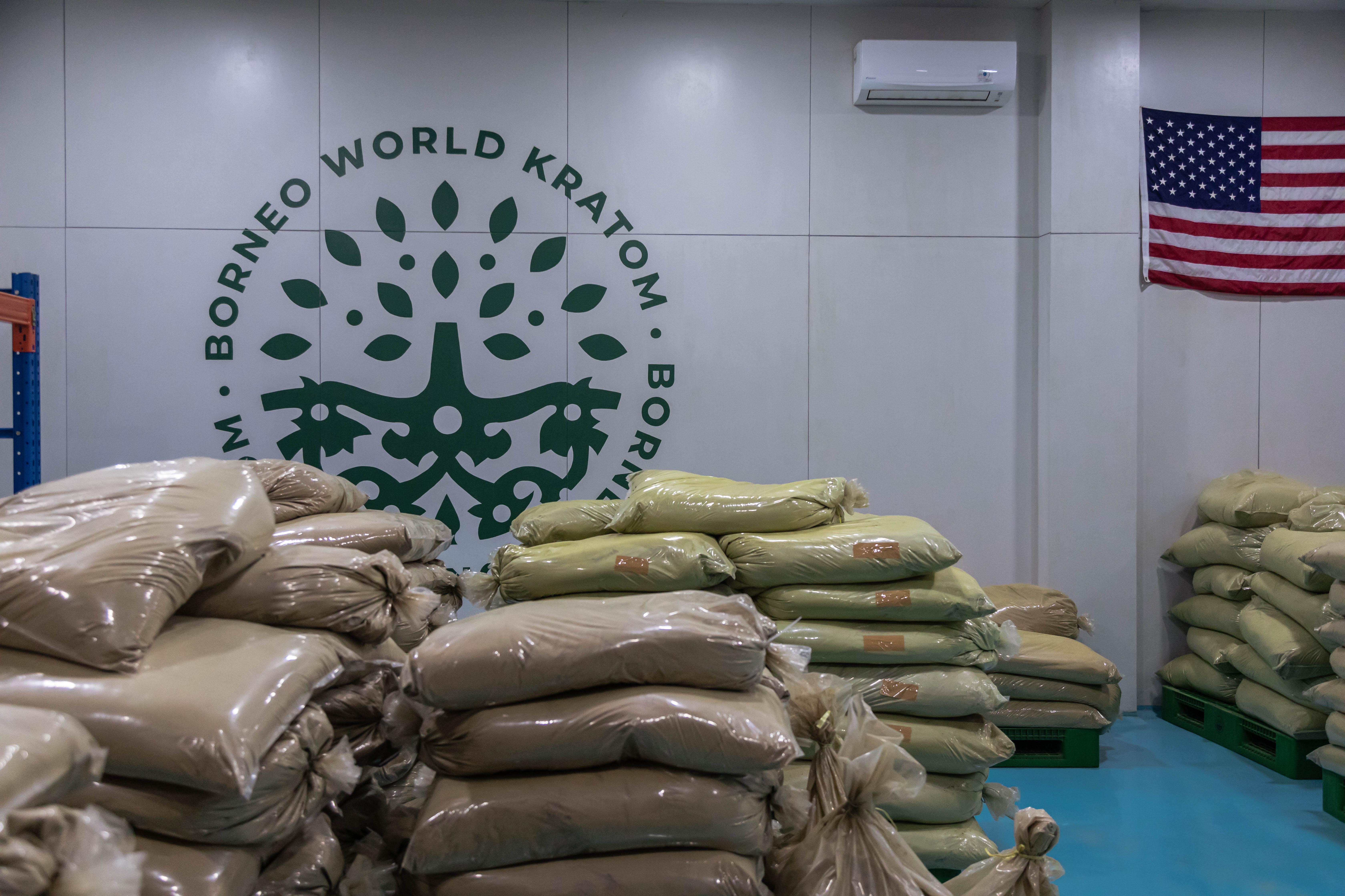 Kratom powder sits at a factory in Pontianak in Indonesia. Suppliers
          in the country range from small, family-run farms to larger-scale
          operations.