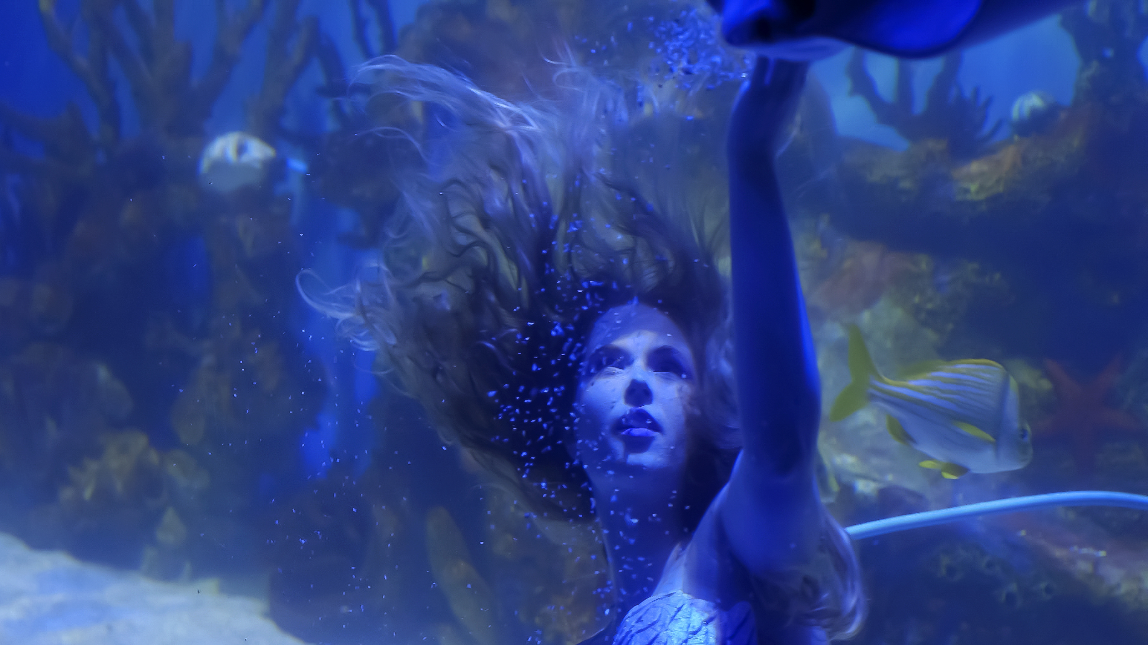 Mako Mermaids: Across The Sea Music Video 