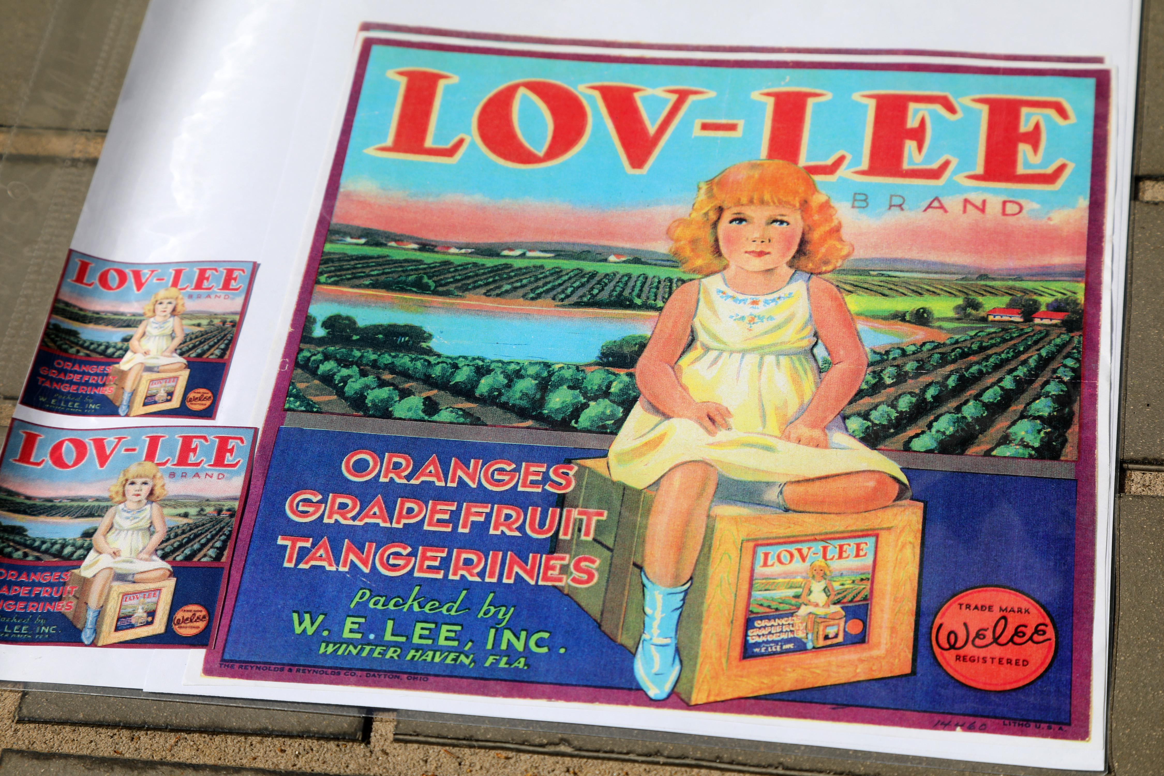 Original Vintage Florida Citrus Crate bande étiquette c1930s agréable surprise Umatilla rare - France