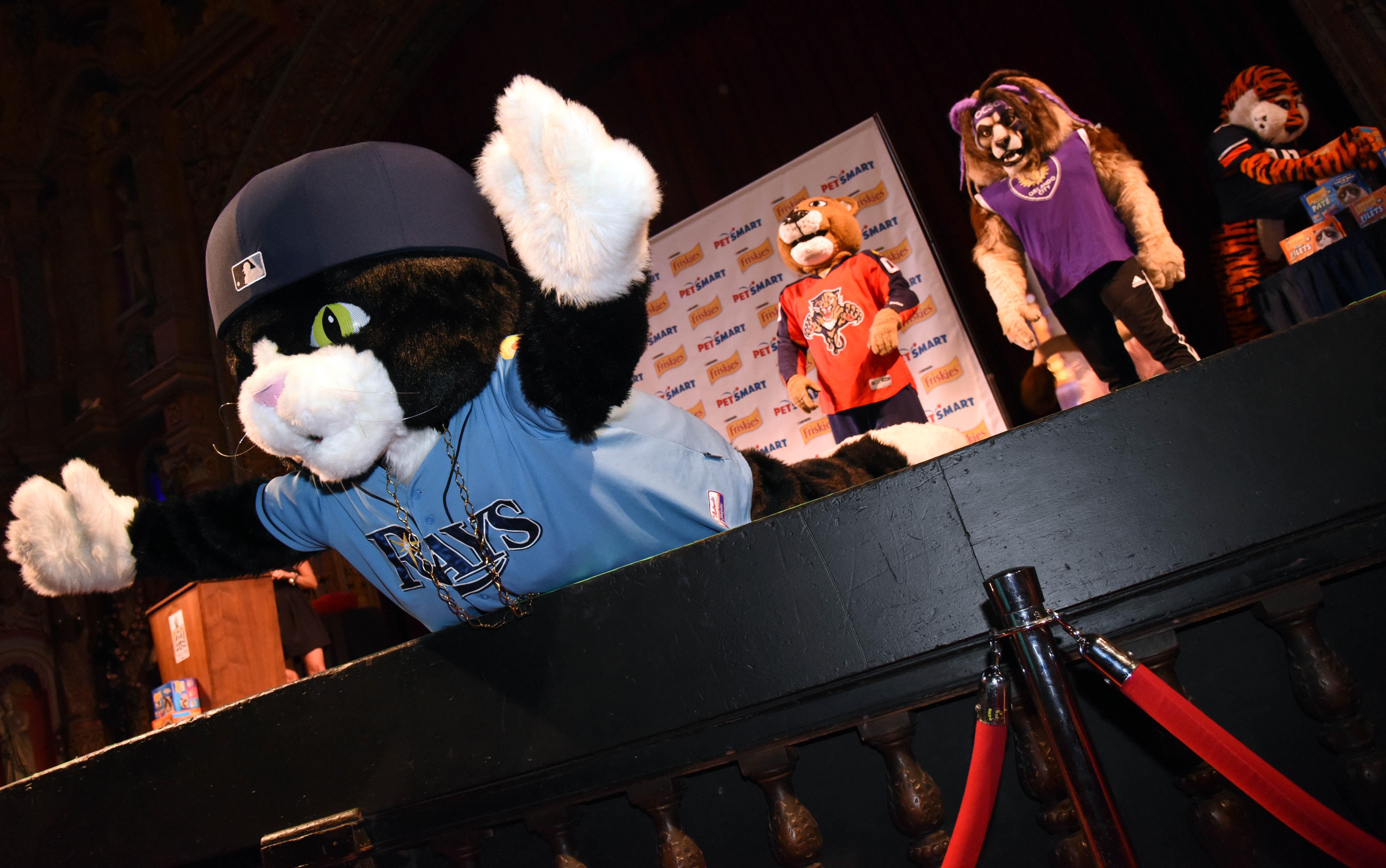 When @raysbaseball mascots DJ Kitty and Raymond stopped by our