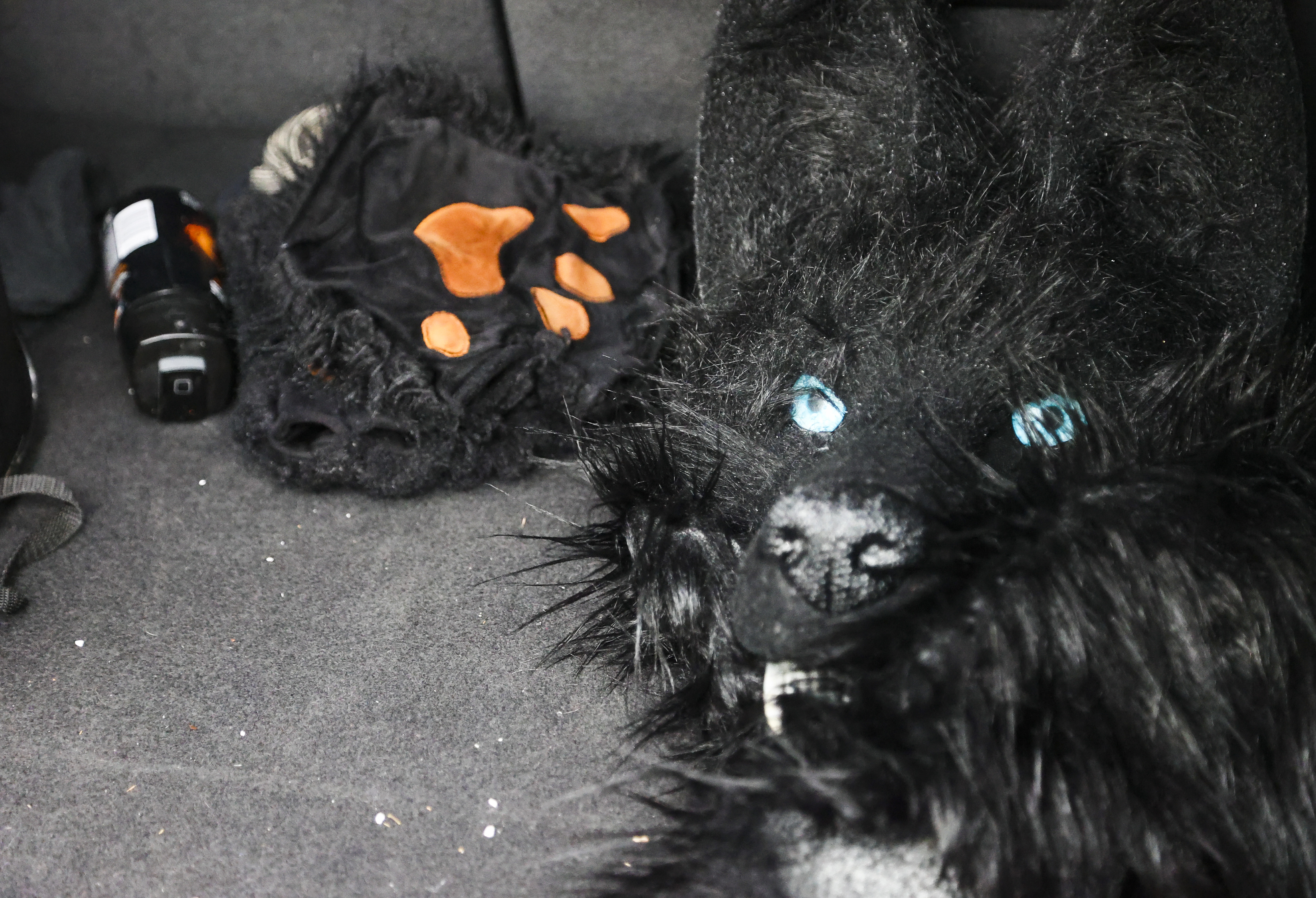 WOLFS HEAD ウルフズヘッド TRASH HEAD トラッシュヘッド コットン ツイル パンツ black tiger ブラック タイガー W34 TH-P1 メンズ Yahoo!オークション - ウルフズヘッド wolfshead WOLF'S HEAD TRASH HE
