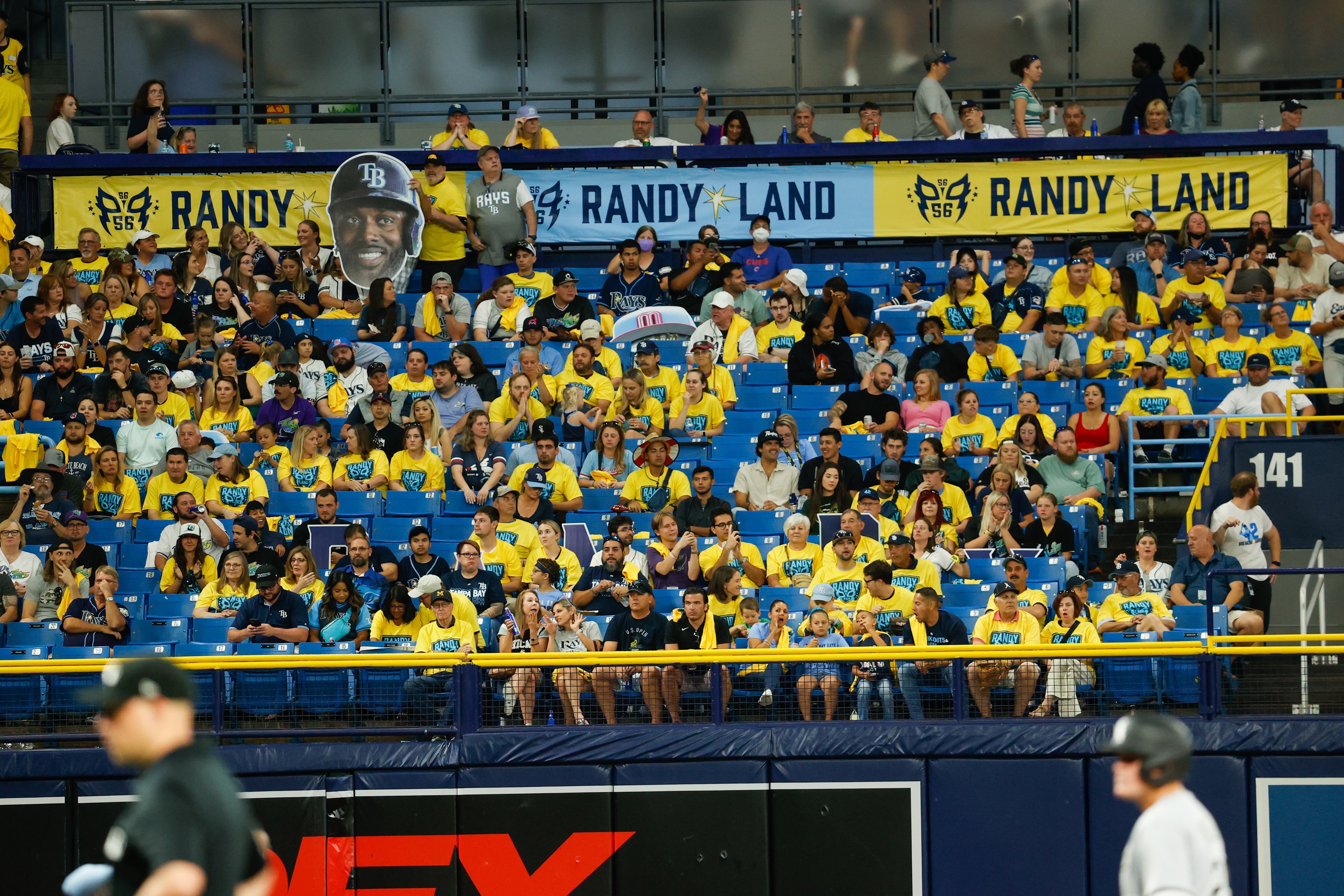 Tampa Bay Rays - Welcome to Randy Land Every Friday home