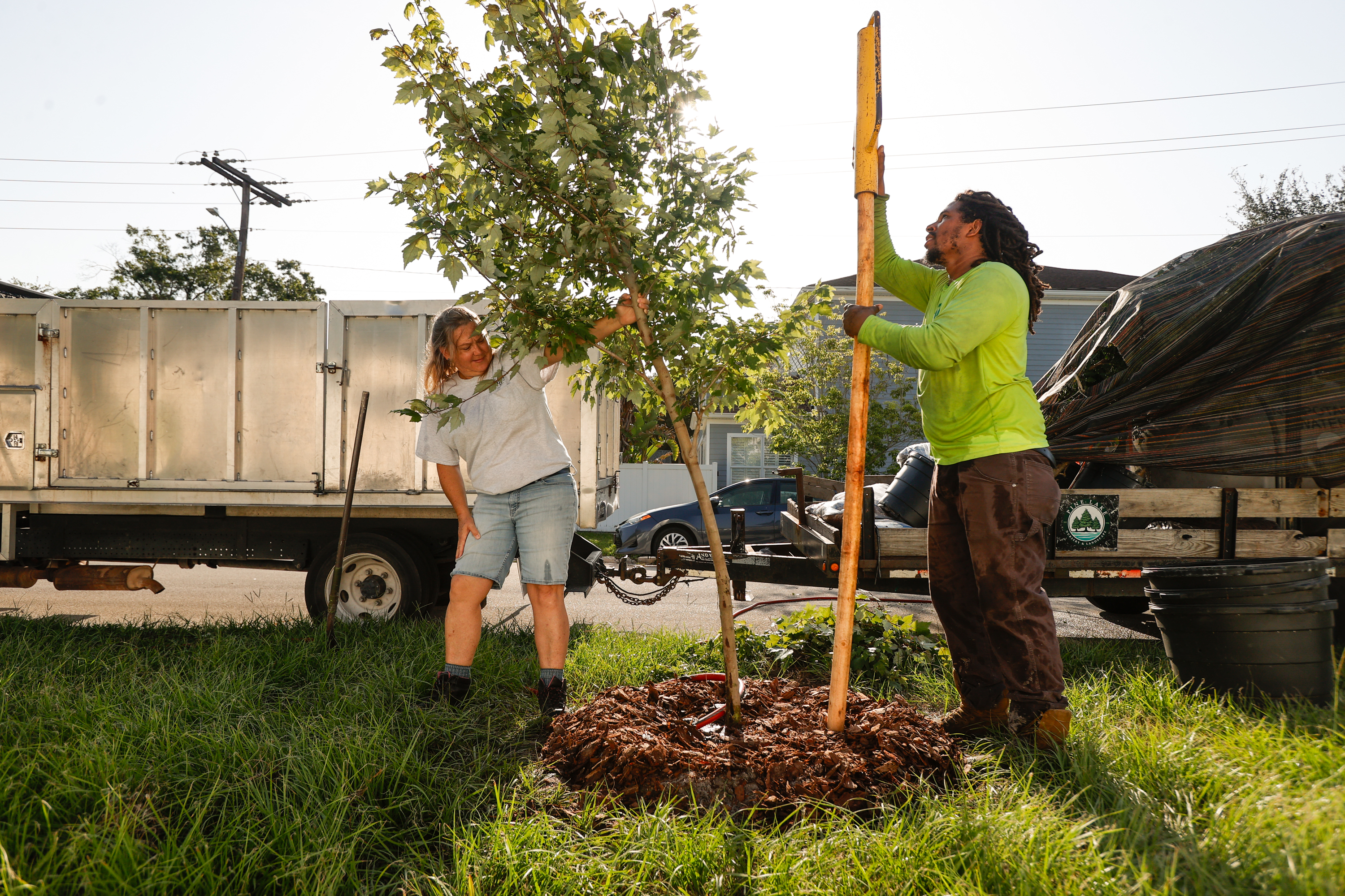 Shawn Green's Tree Service & lawn service