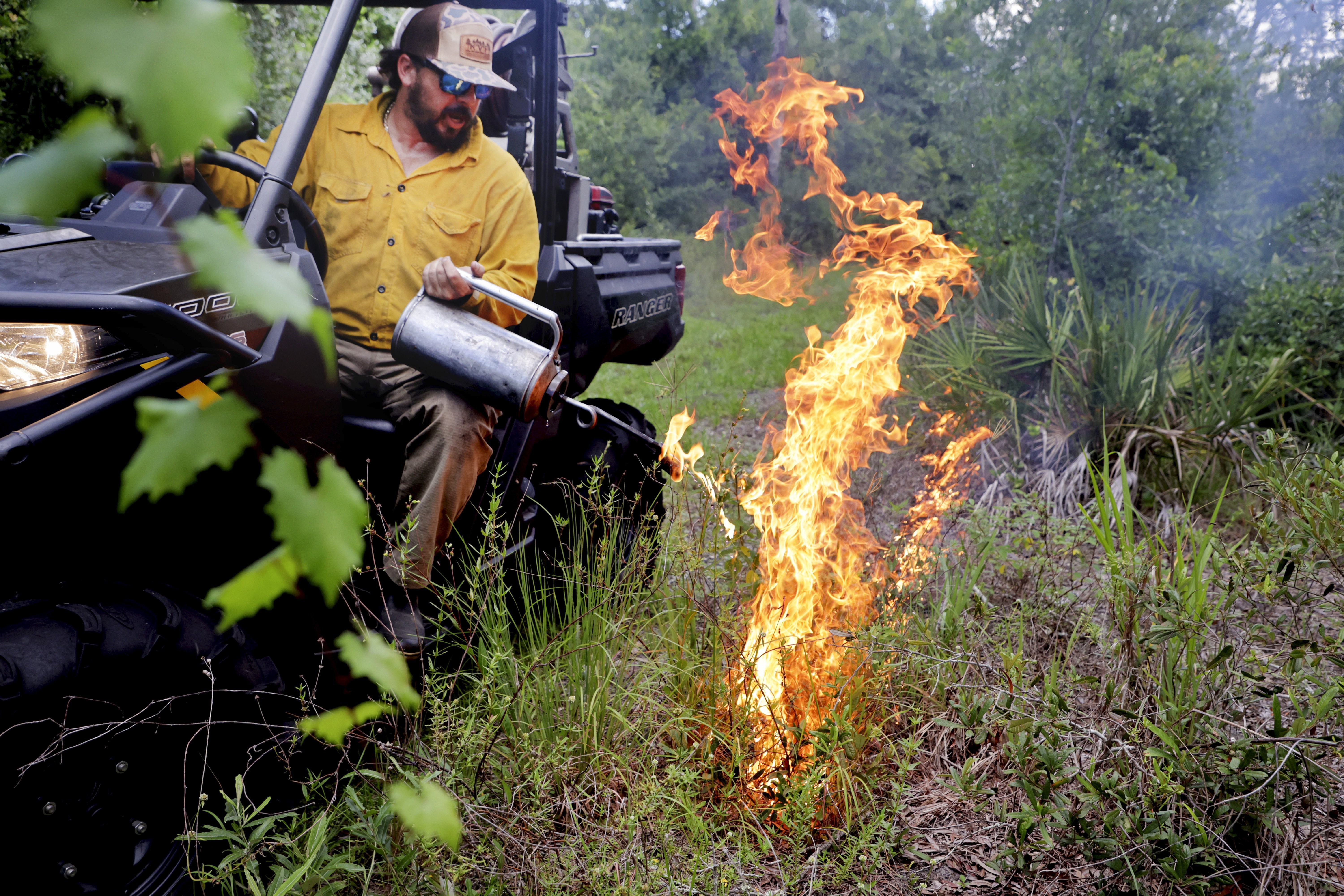 Boyd Hill near downtown St. Pete was just set on fire. Here's why