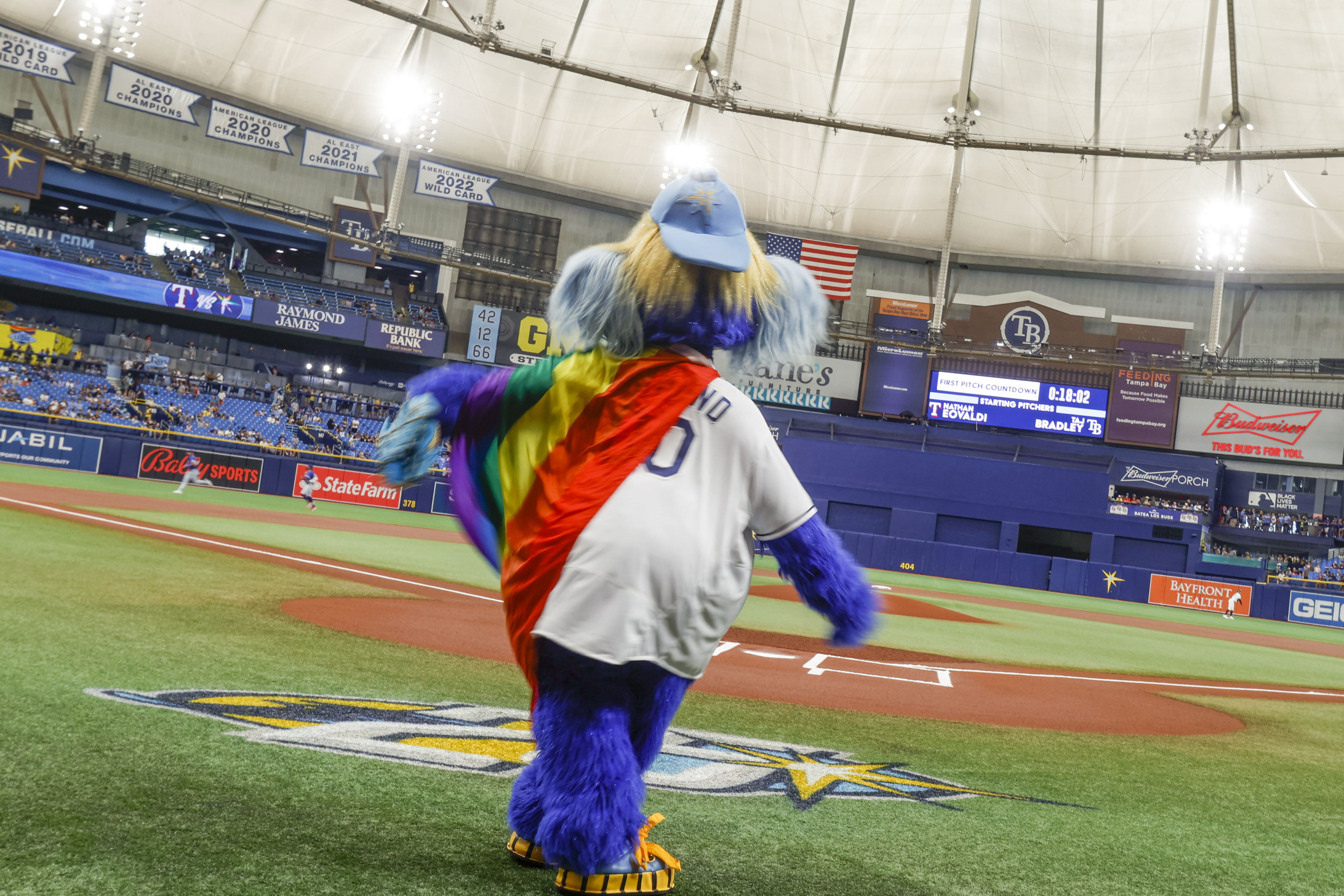 Rays celebrate 17th Pride Night