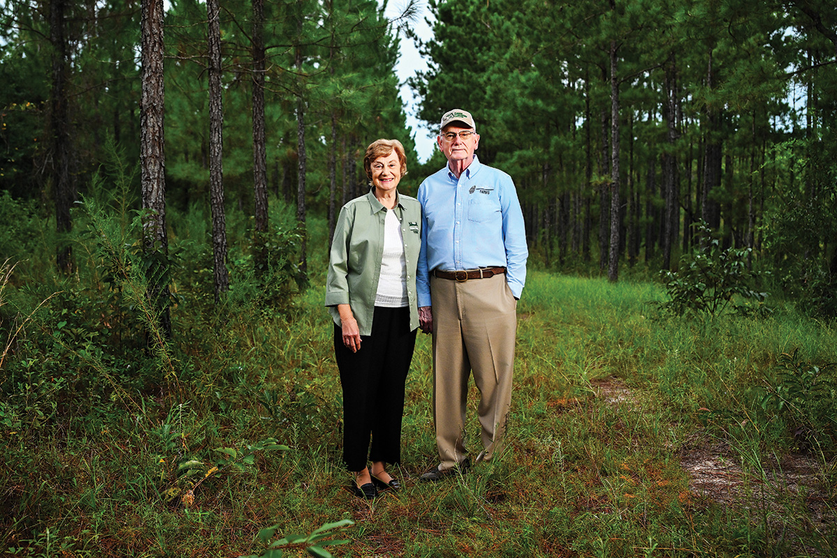 As hurricane impacts and mill closures collide, Florida’s $25B timber industry is in the midst of a reckoning — and searching for a renaissance.