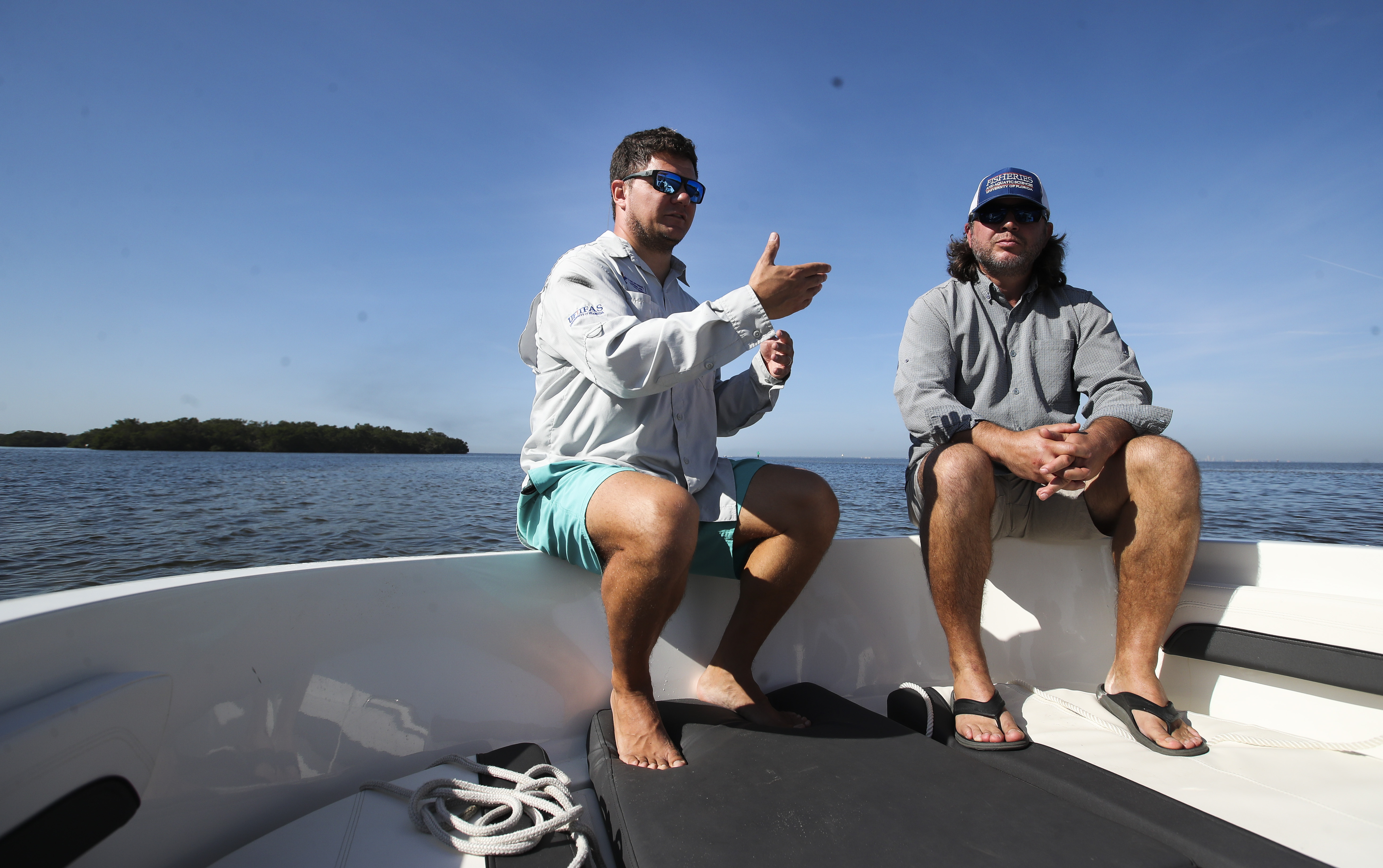 In Tampa Bay, boat propellers have killed seagrass. A new mapping project  may help.