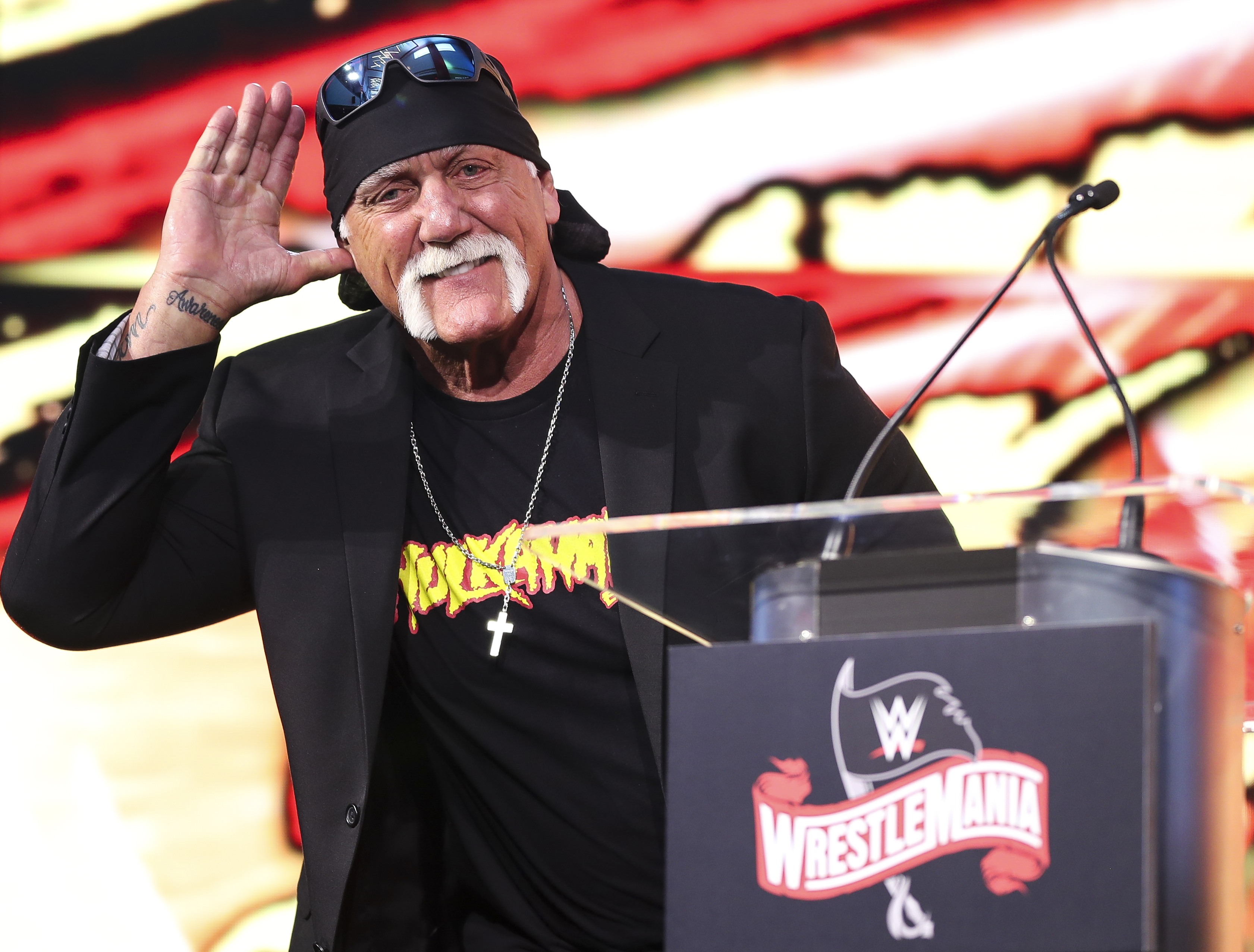Hulk Hogan sex tape lawsuit vs image