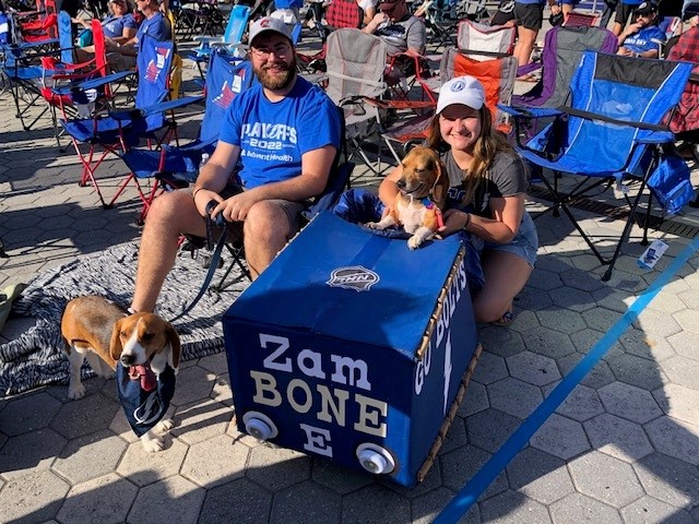 Kansas City Royals on X: 13/10 would recommend bringing doggos to Bark at  the Park.  / X