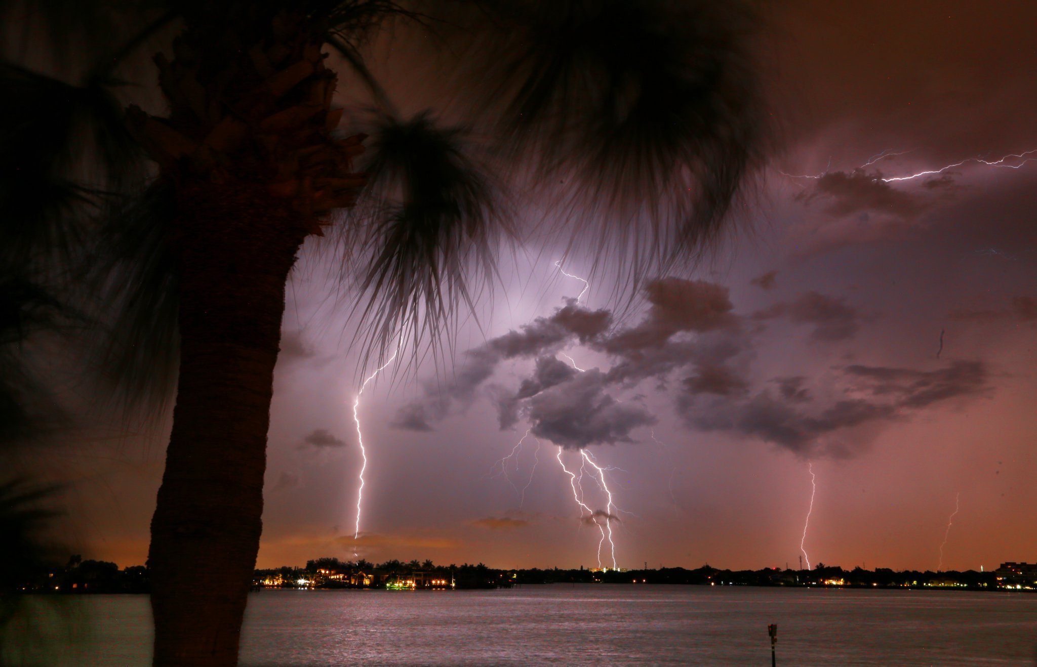 Florida recorded most lightning deaths in 2021, all of them along Gulf Coast