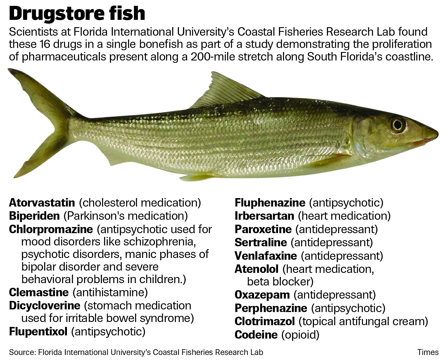 Prescription Drugs Are Contaminating Florida S Marine Life Researchers Find