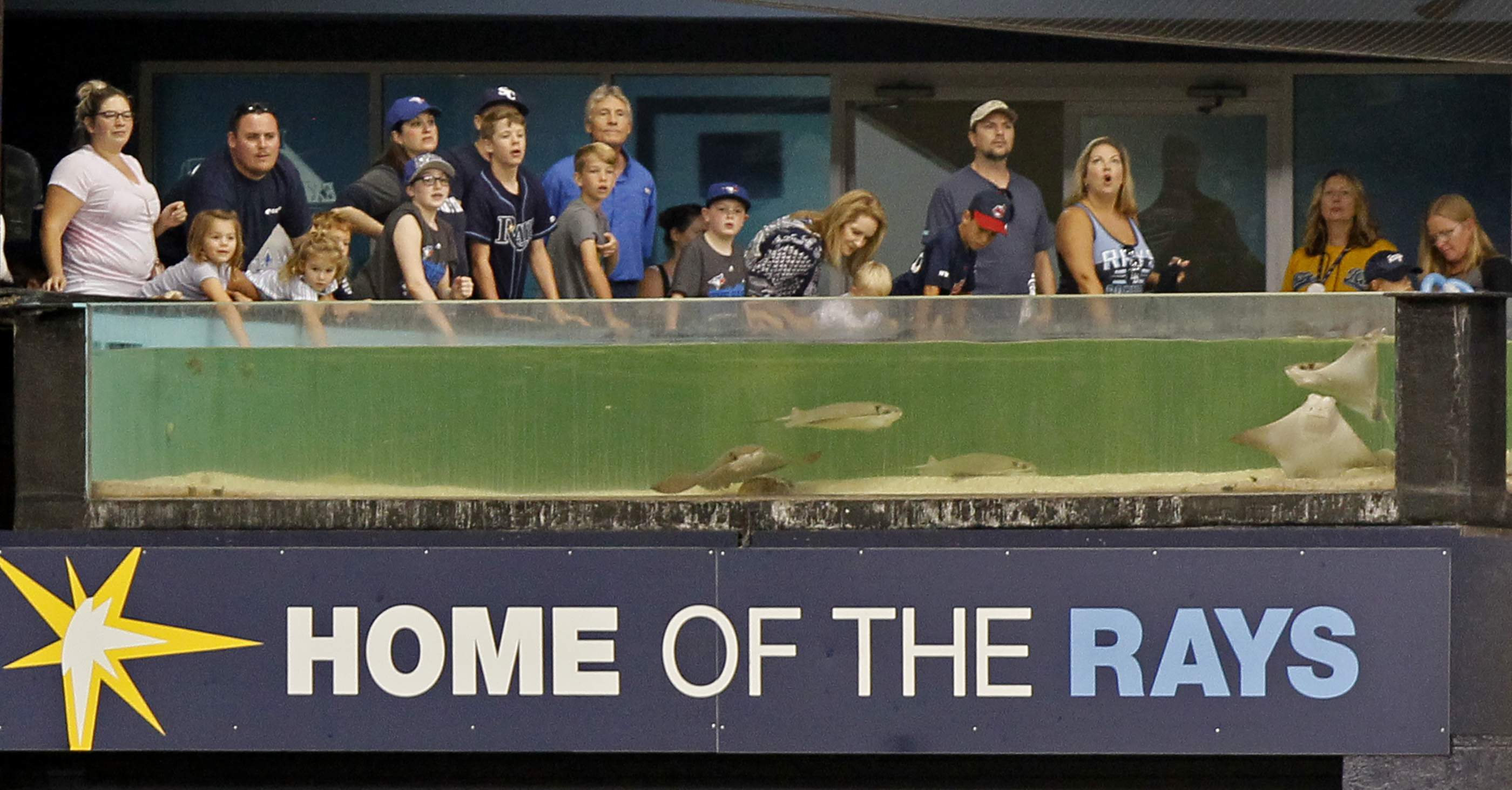 Rays announce fan cutouts for 2020 season at Tropicana Field