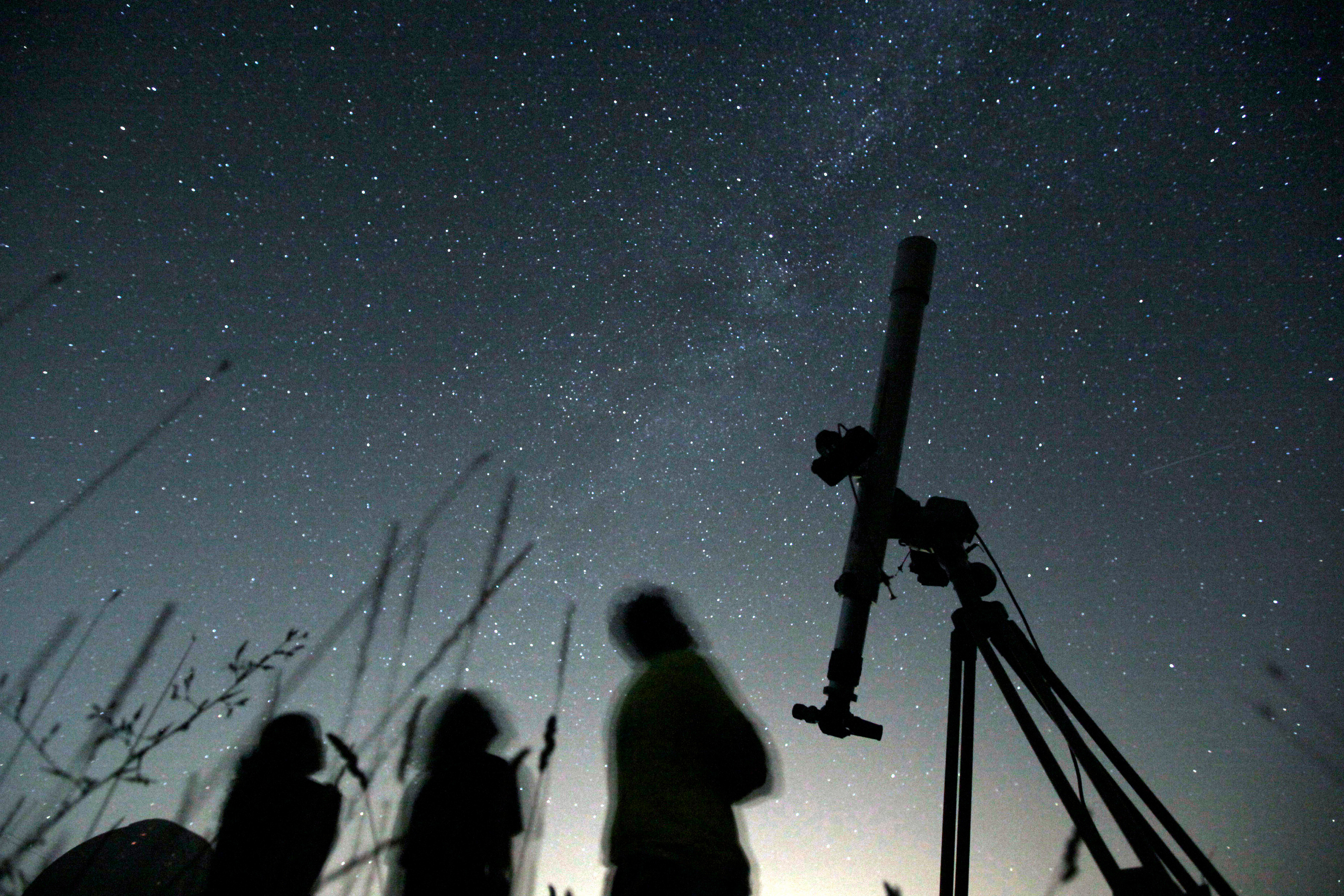 the night sky (夜空) 🌌 New Zealand 🌌 ニュージーランドで撮影した星空たち