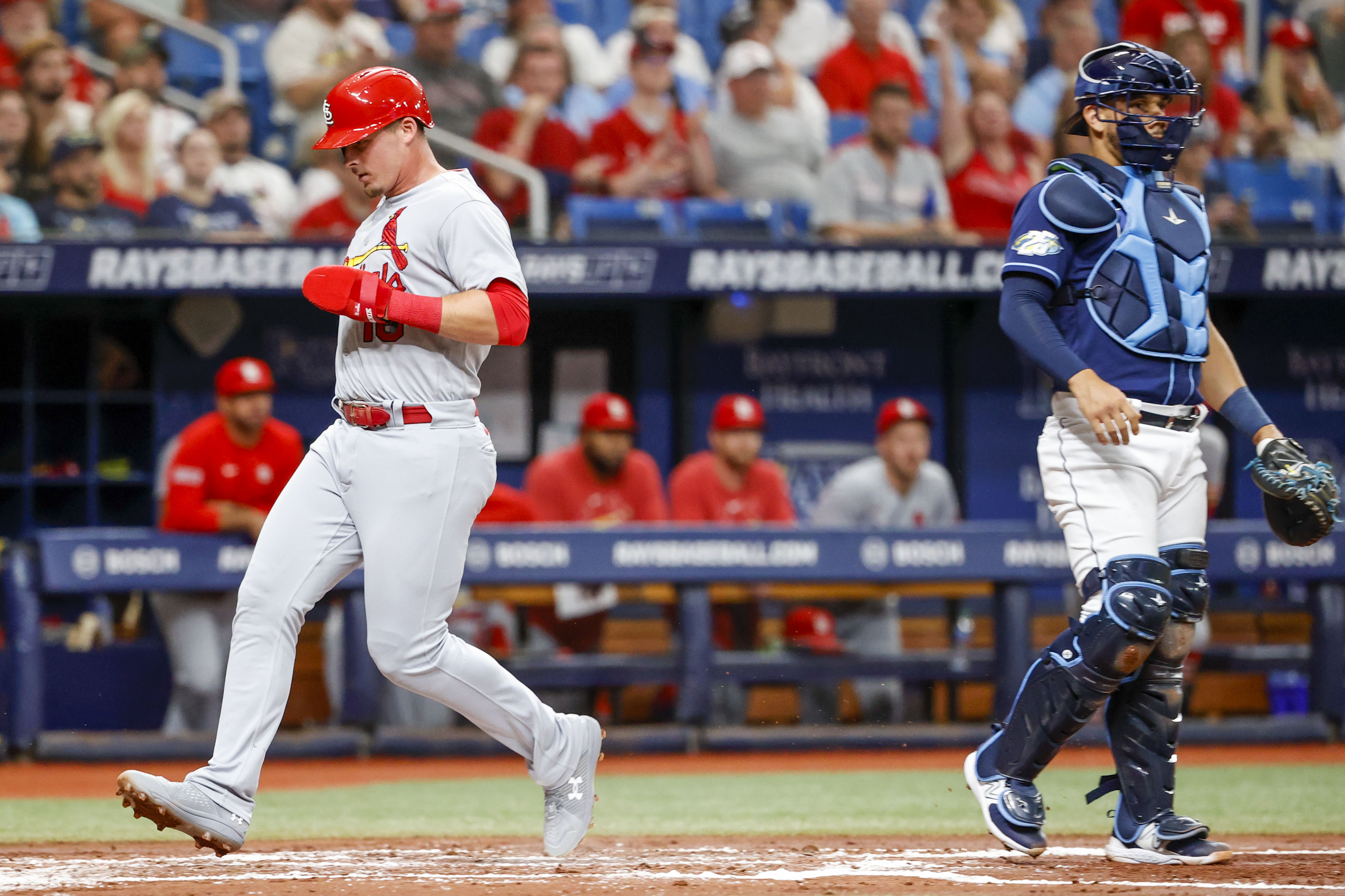 Nolan Gorman, Willson Contreras Remain Out of St. Louis Cardinals' Lineup -  Fastball