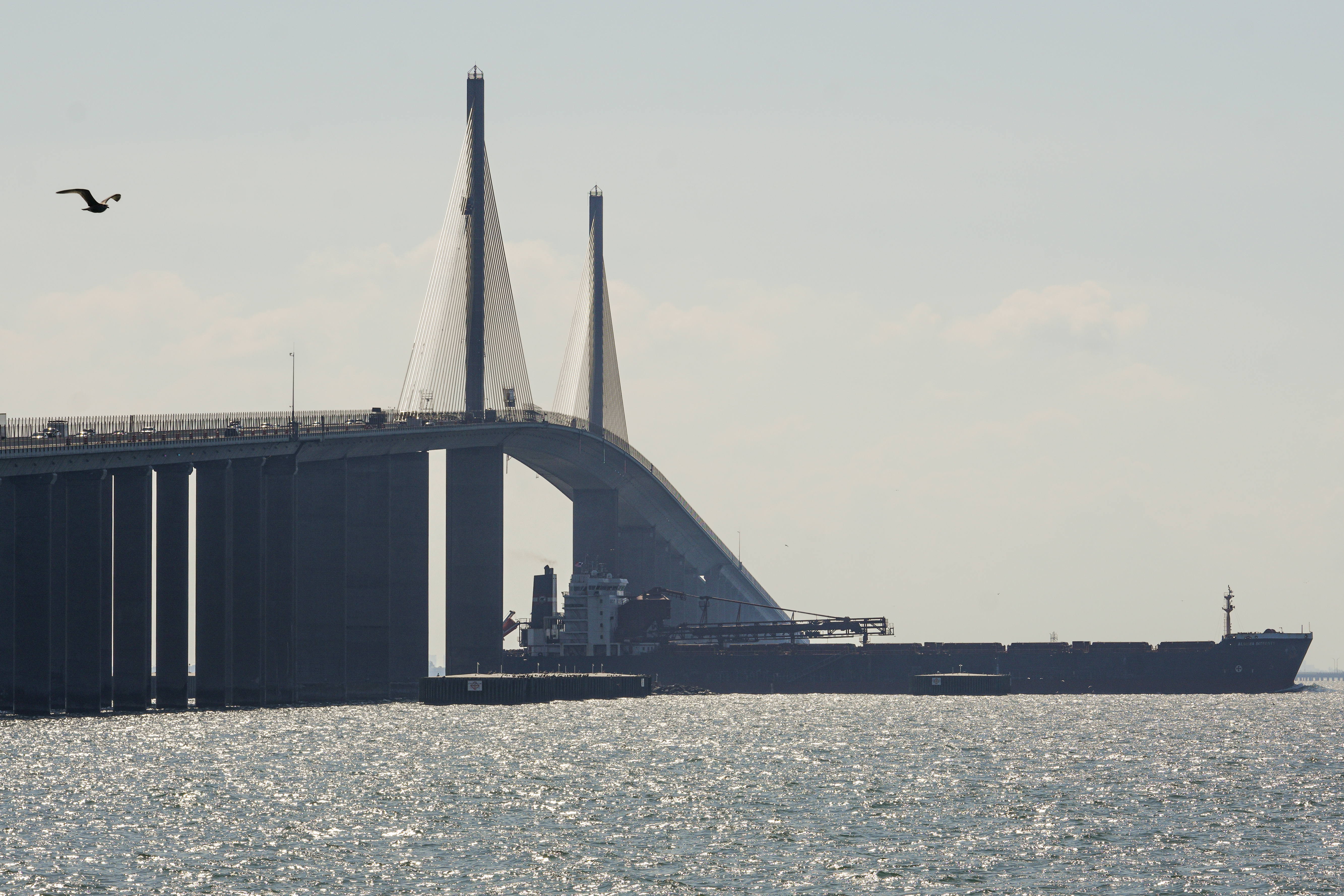 Tampa Bay harbor pilots' pay raise request stirs storm at Tampa's port