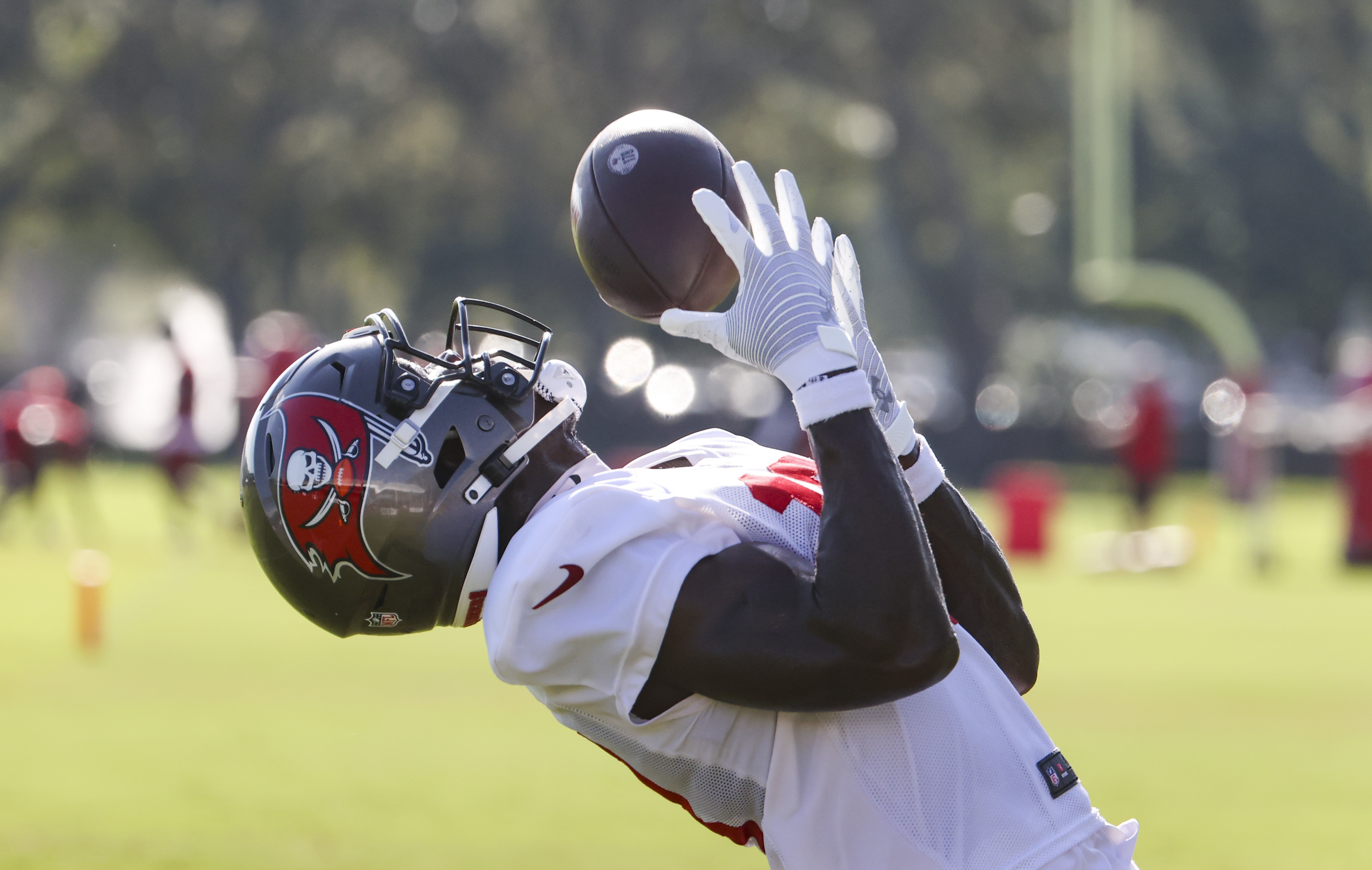 Tampa Bay Buccaneers' Rodrigo Blankenship (15) kicks a field goal