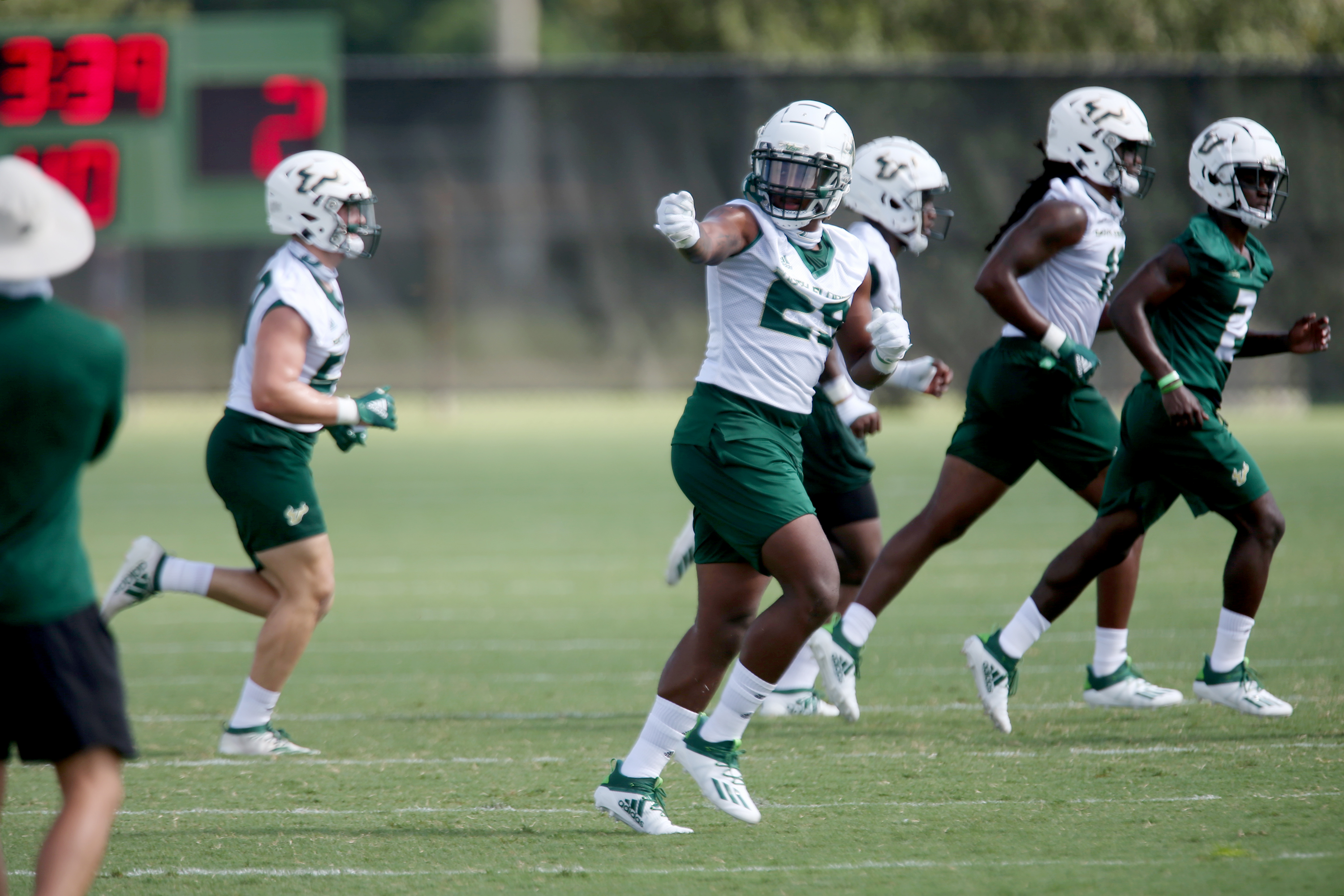 usf bulls football 247