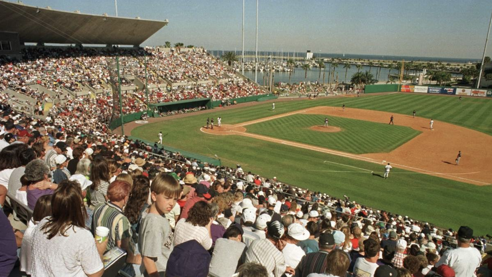 MLB Spring Training Baseball near St Pete Beach