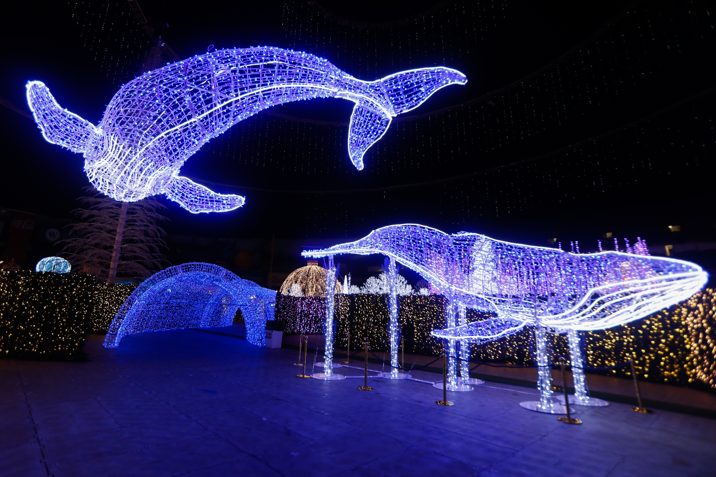 Rays Planning to Light Tropicana Field Ceiling with Blue LED Lights Next  Season, News, Scores, Highlights, Stats, and Rumors