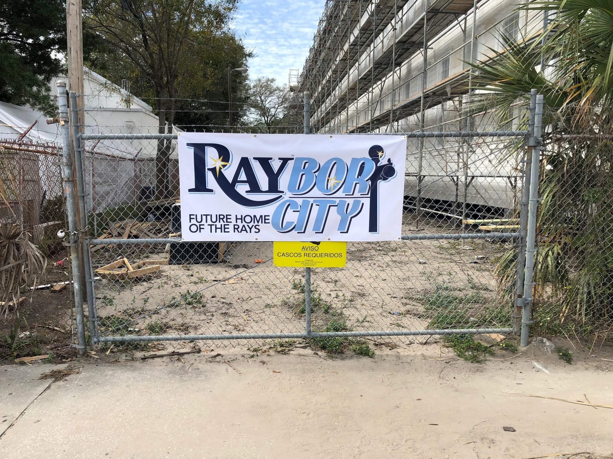 Rays City Connect #rays #tampa #tampabay #tampabayrays #florida