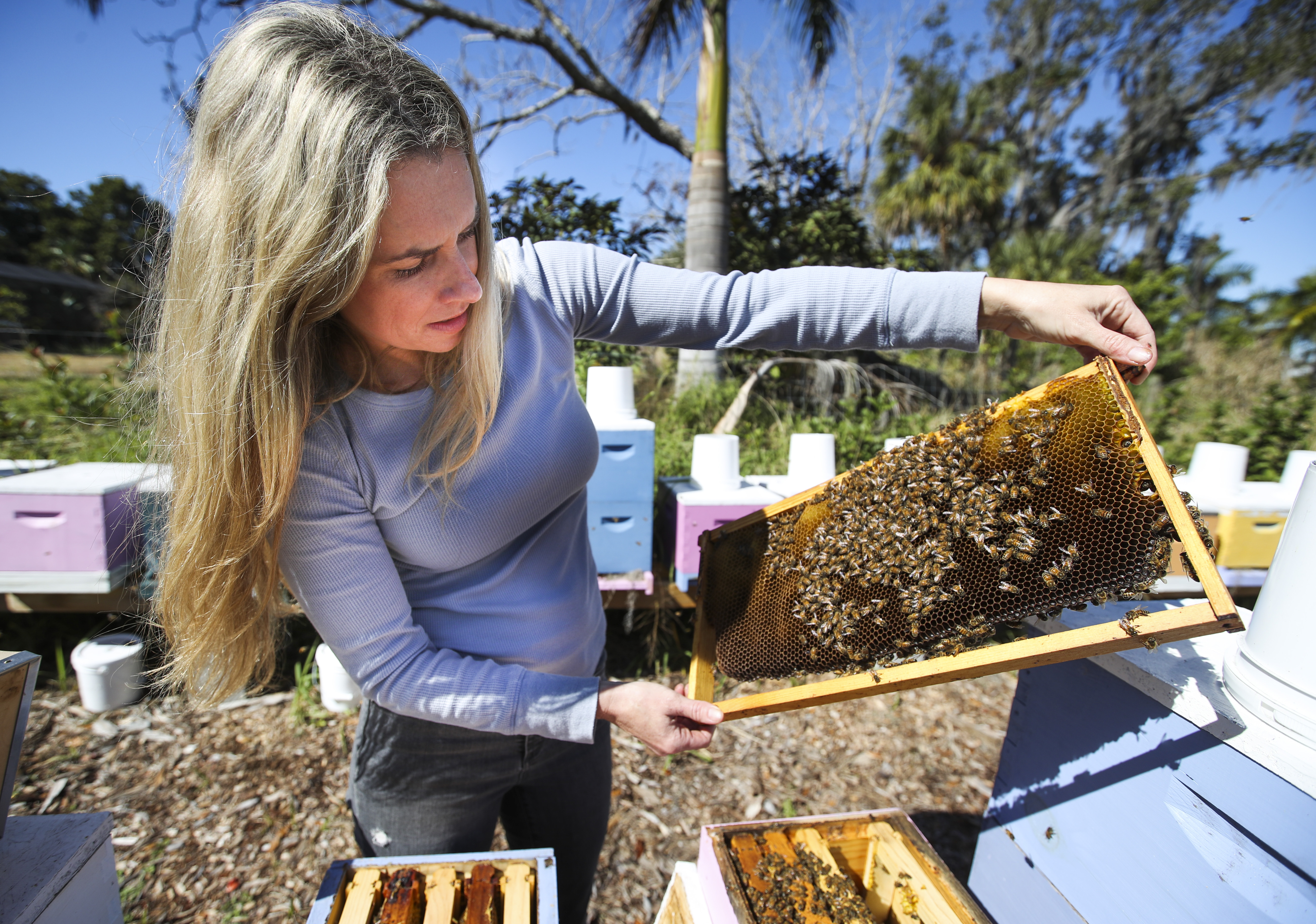 Tampa Bay's TikTok-famous beekeeper finds success with sweat and honey