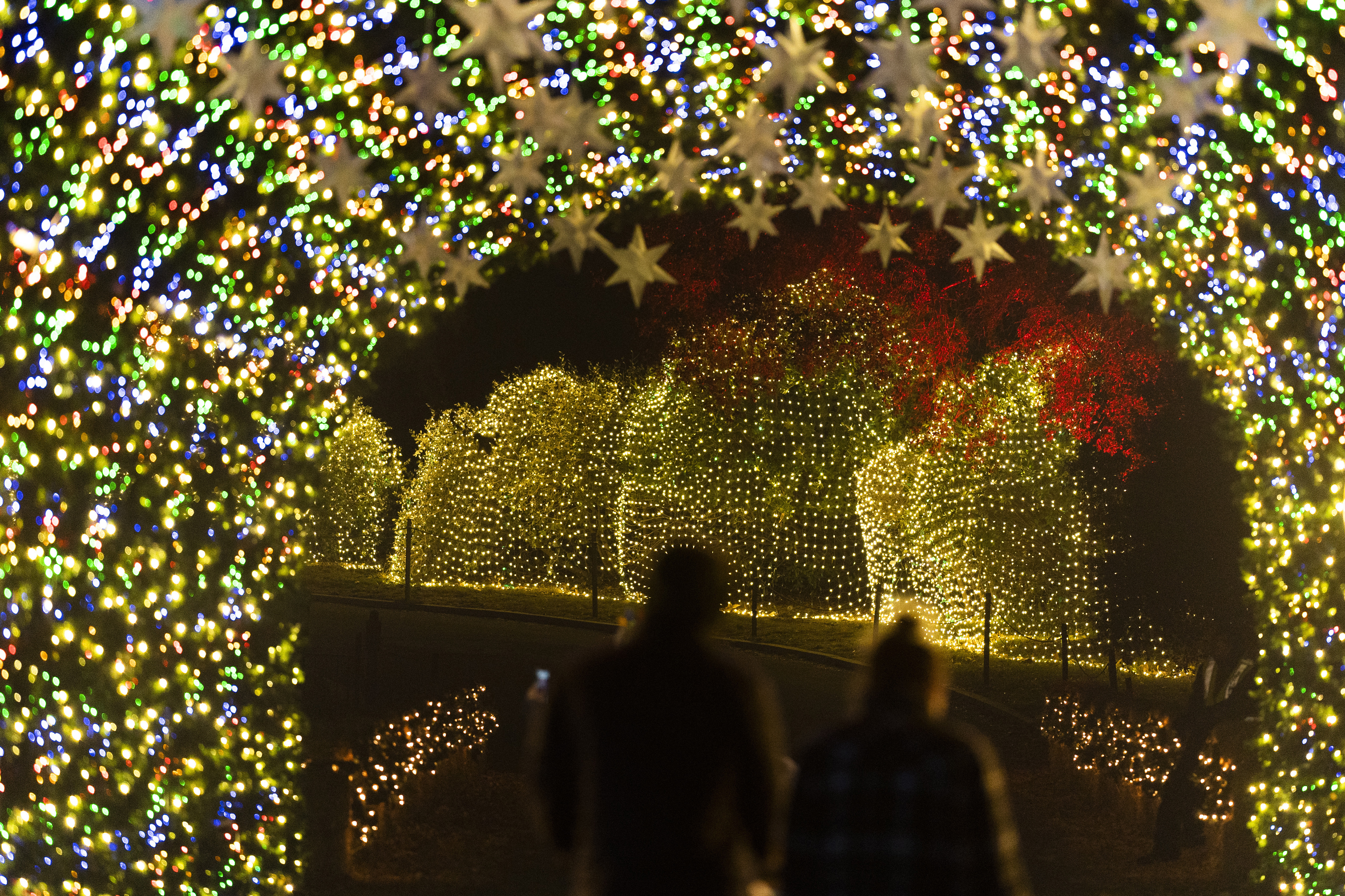 Holiday Lights Brighten Von Maur Department Editorial Stock Photo - Stock  Image