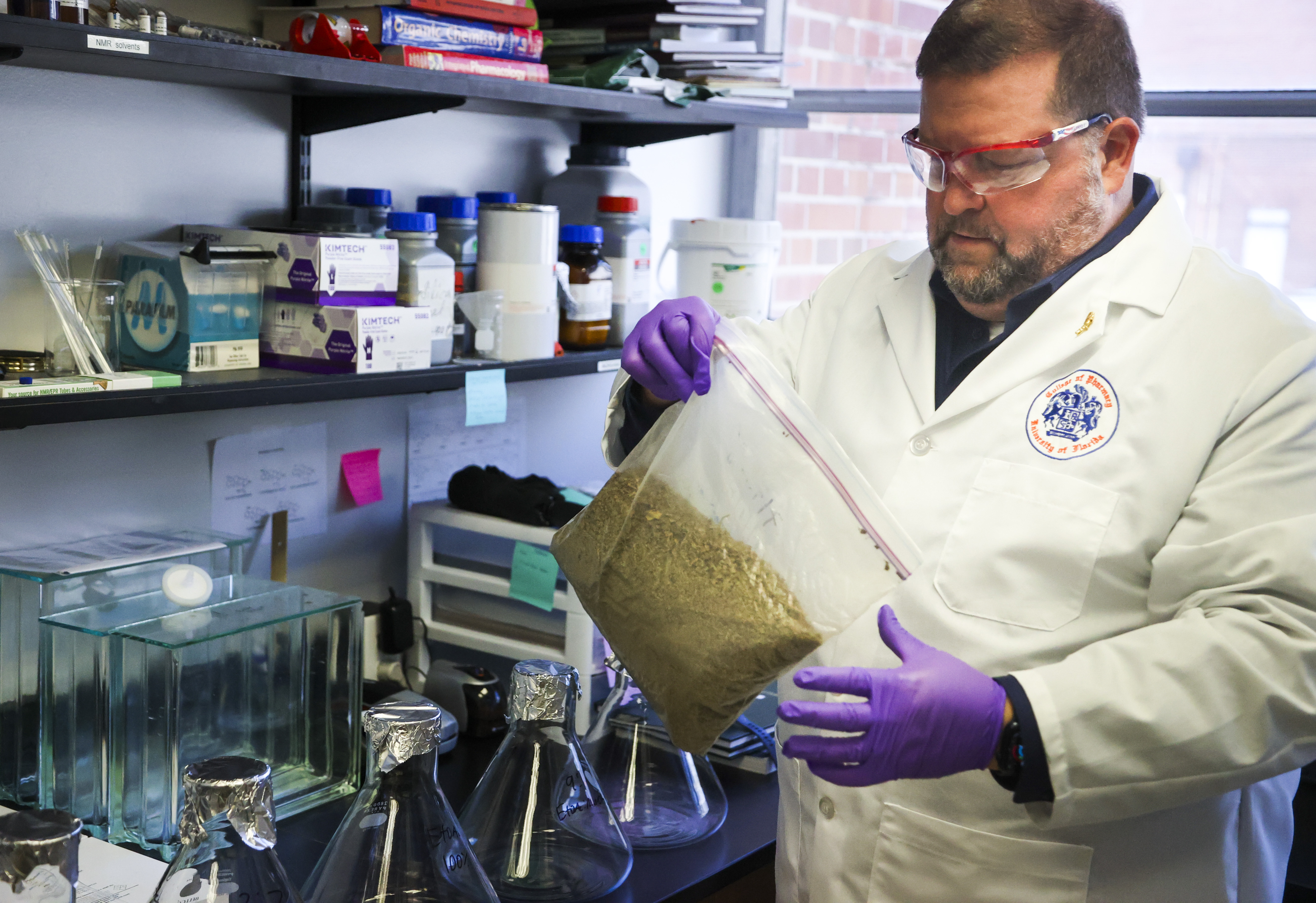 University of Florida researcher Christopher McCurdy holds a bag of
                                    ground kratom leaf in Gainesville.