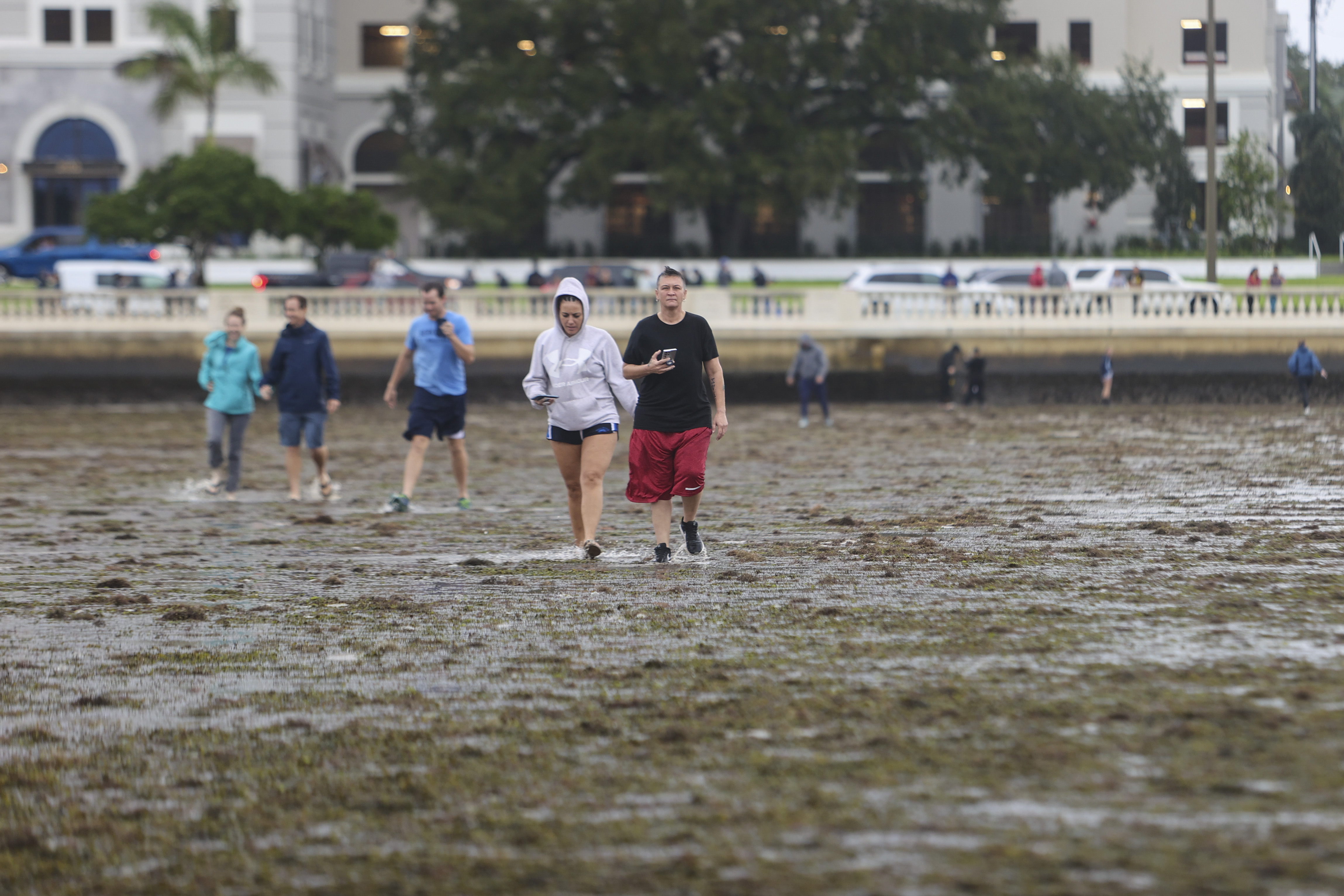 Hurricane Ian drains water across Tampa Bay area