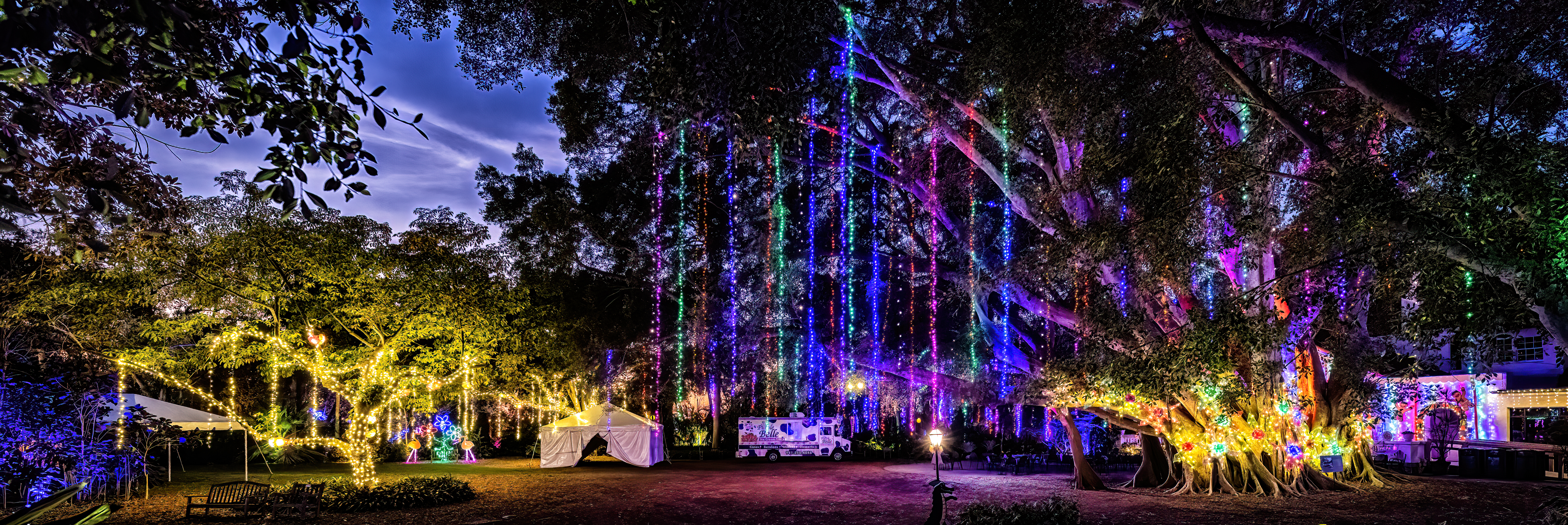 Sarasota's Selby Gardens light display wins national recognition