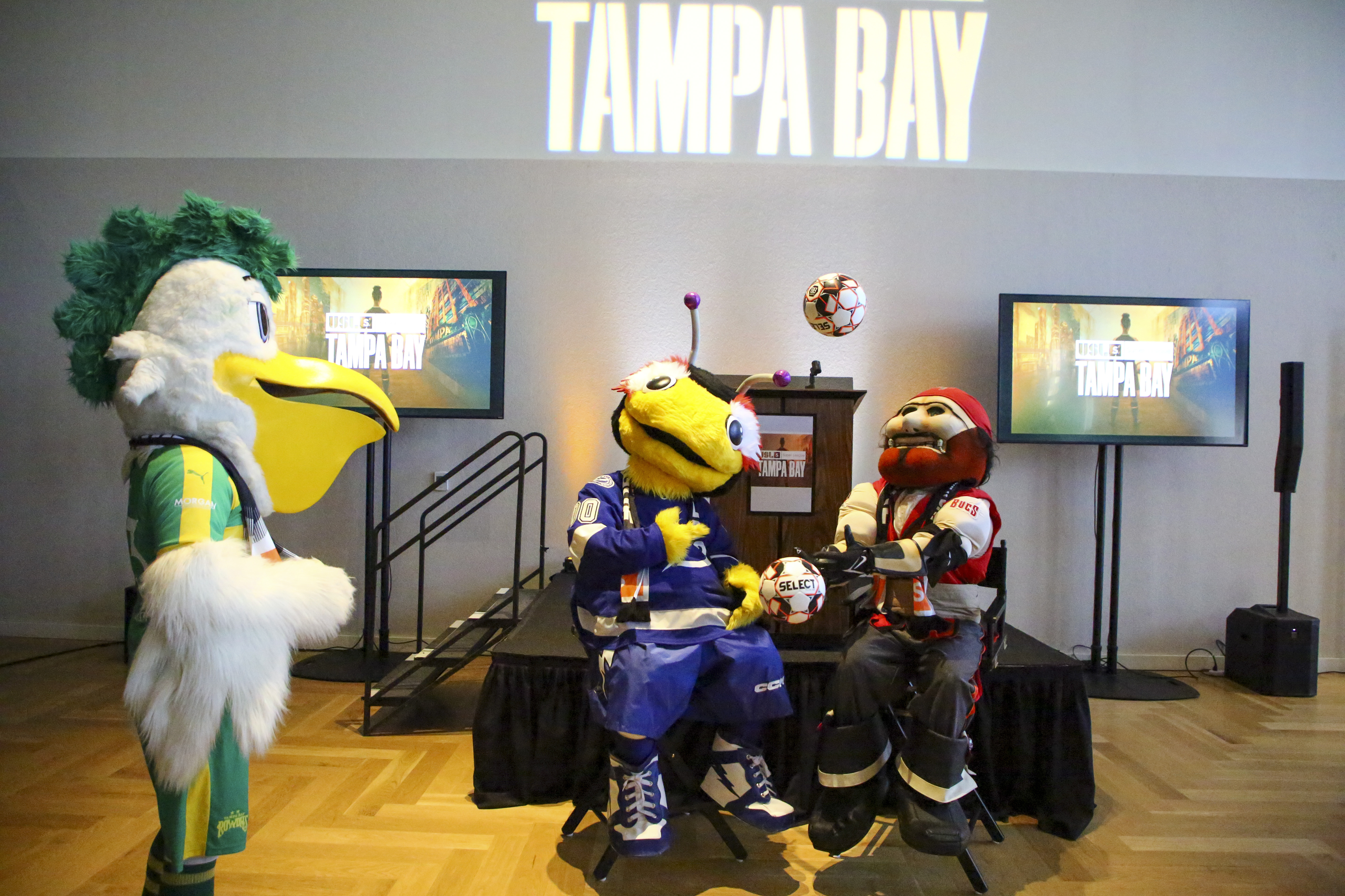 St. Petersburg, FL USA; Tampa Bay Rowdies mascot Pete the Pelican