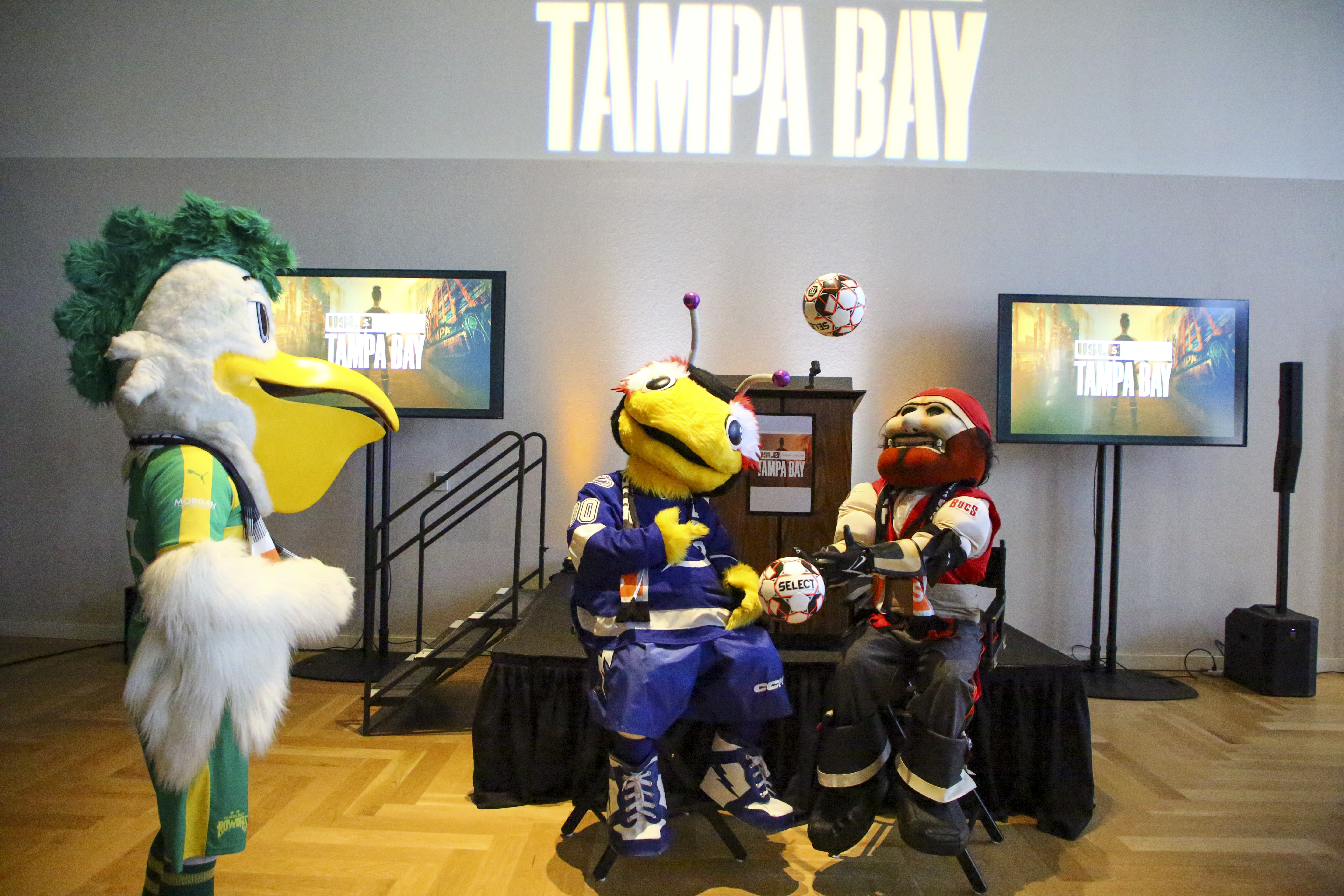 Mascots tampa bay sports teams tampa bay lightning tampa bay