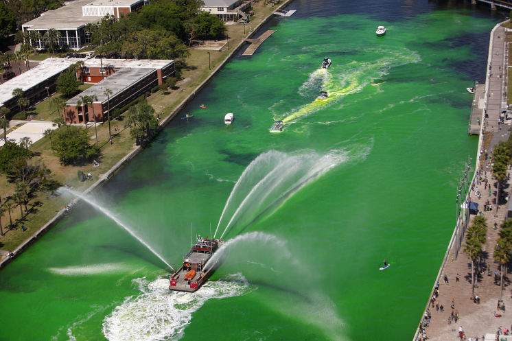 St. Patrick of Tampa Bay