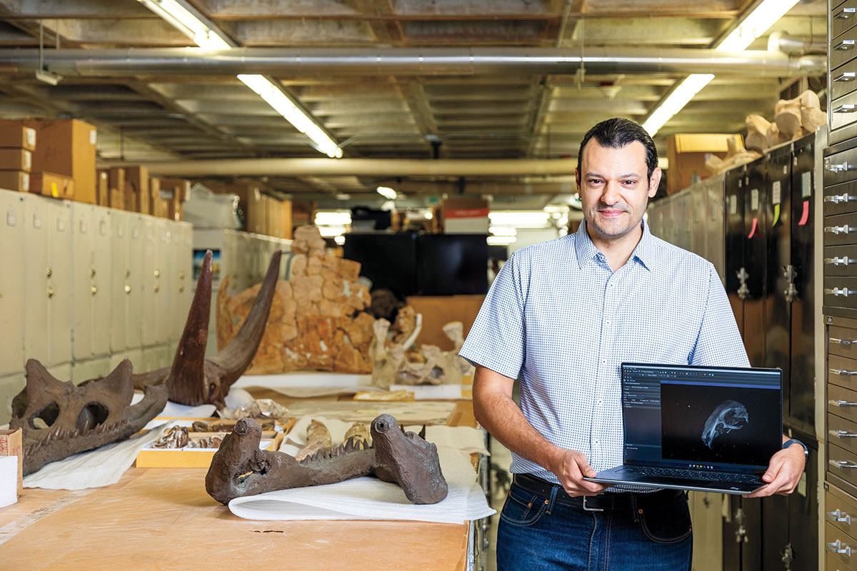 The Florida Museum’s AI curators are using the technology to sort through digital collections, reconstruct fragmented artifacts and more.