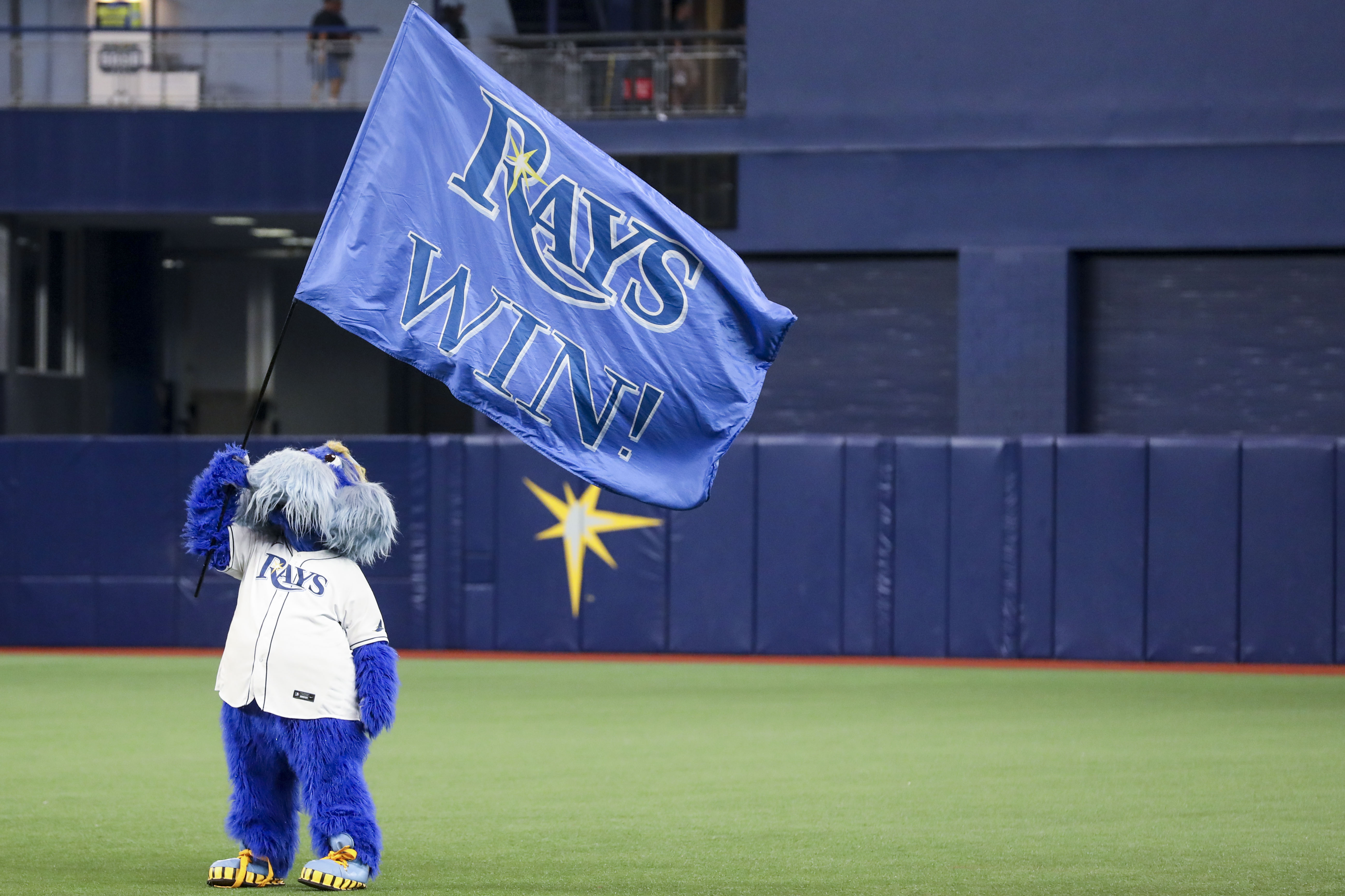 Rays announce Postseason events: Free Parties, Tattoos, and Yard Signs  throughout Tampa Bay - DRaysBay