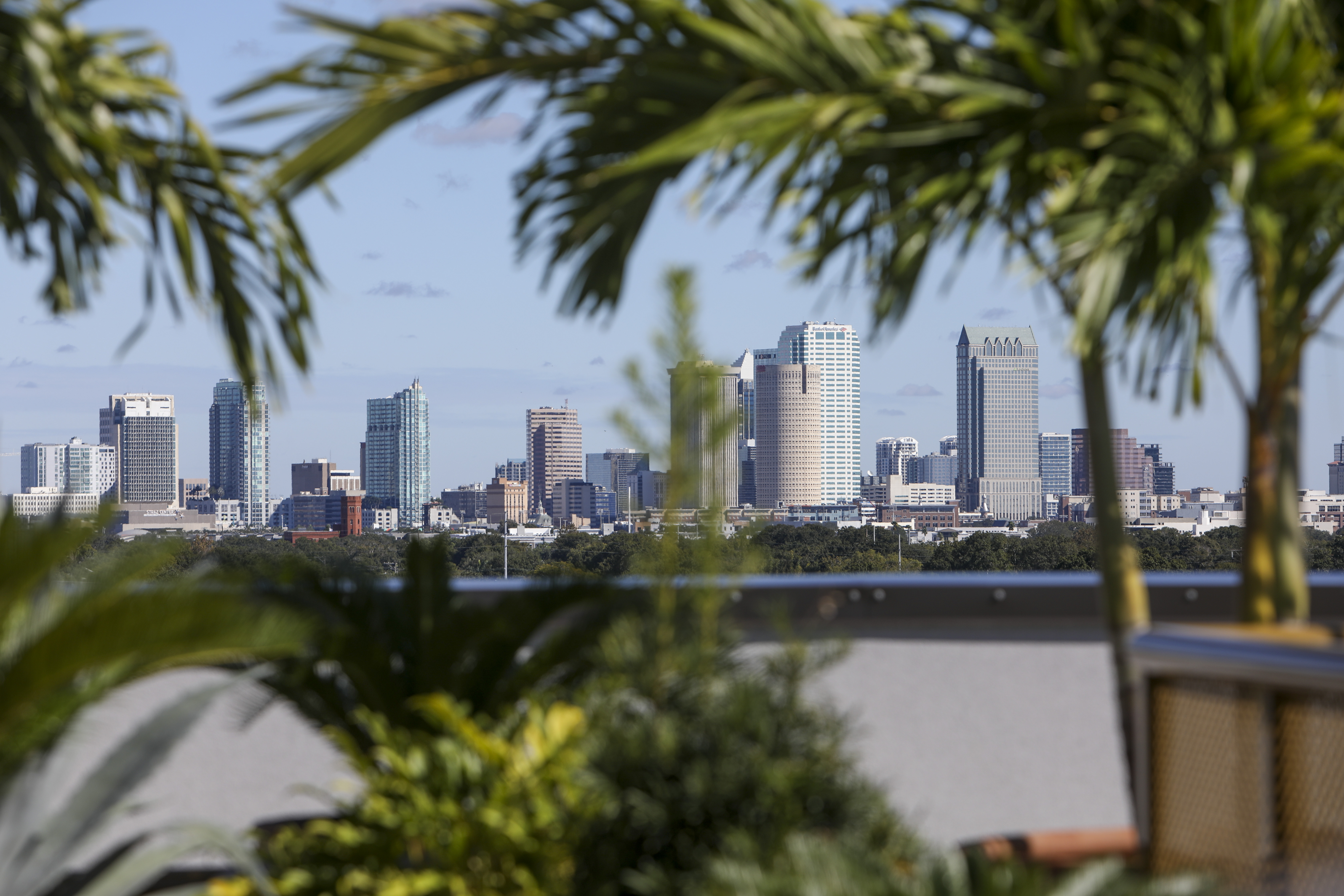 In Tampa Bay These Best Jobs Pay As Well As Anywhere In America