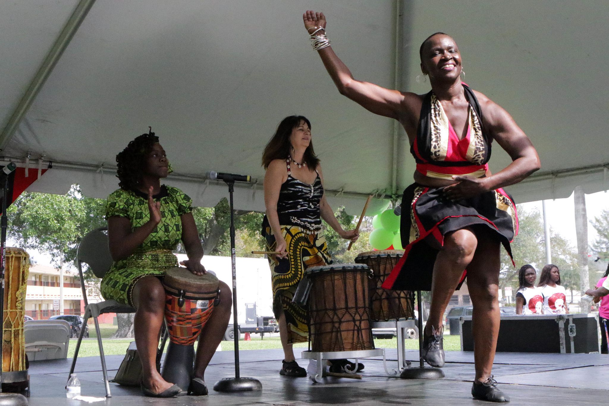 Home  Pinellas African American Heritage Celebration