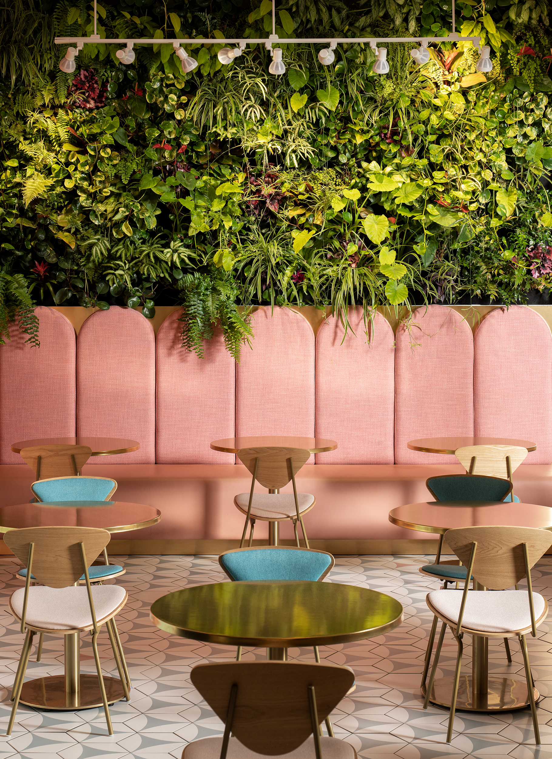 Café Parade② Beans and Bling at Paradeco Coffee Roasters in St. Petersburg