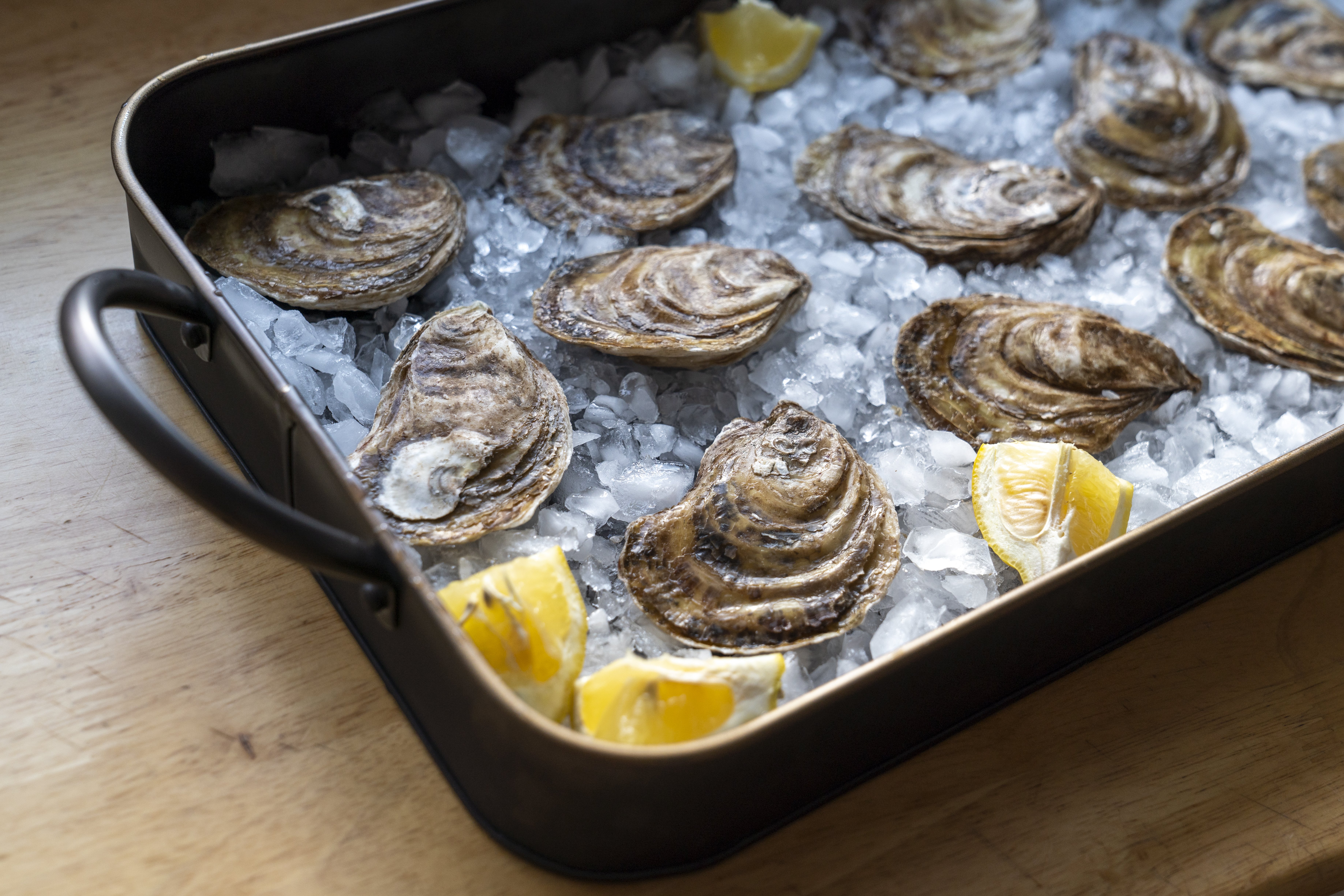 Shucking Gloves - Island Creek Oysters