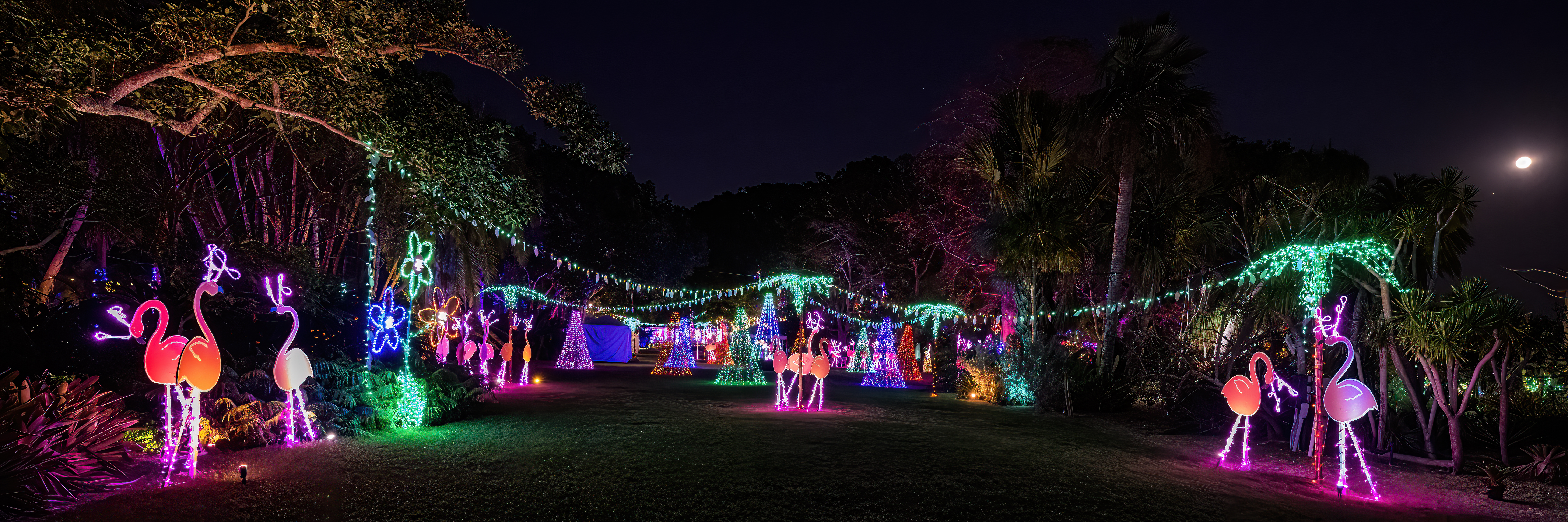 Sarasota's Selby Gardens light display wins national recognition