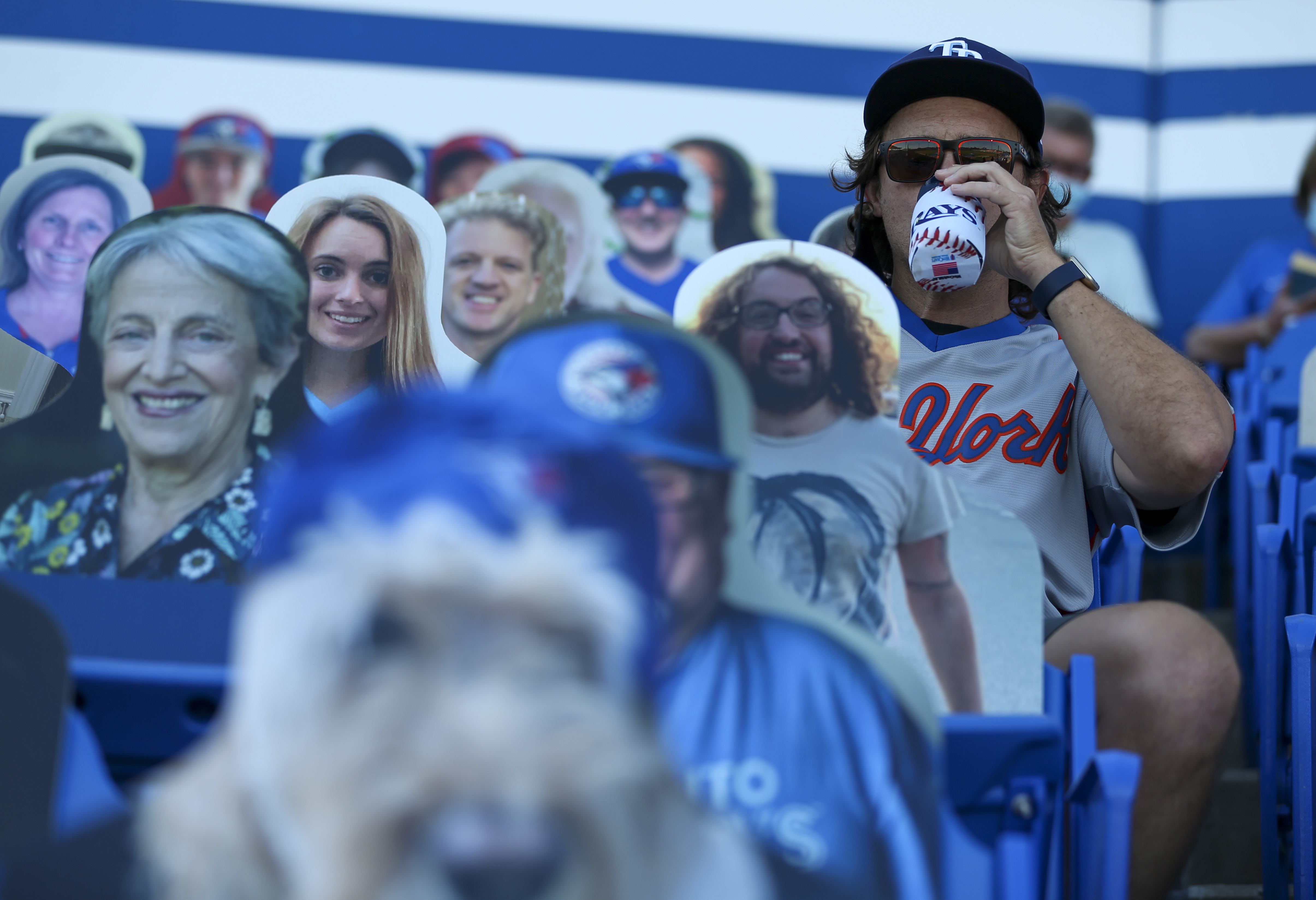 Cool Dunedin Blue Jays Icon | Essential T-Shirt