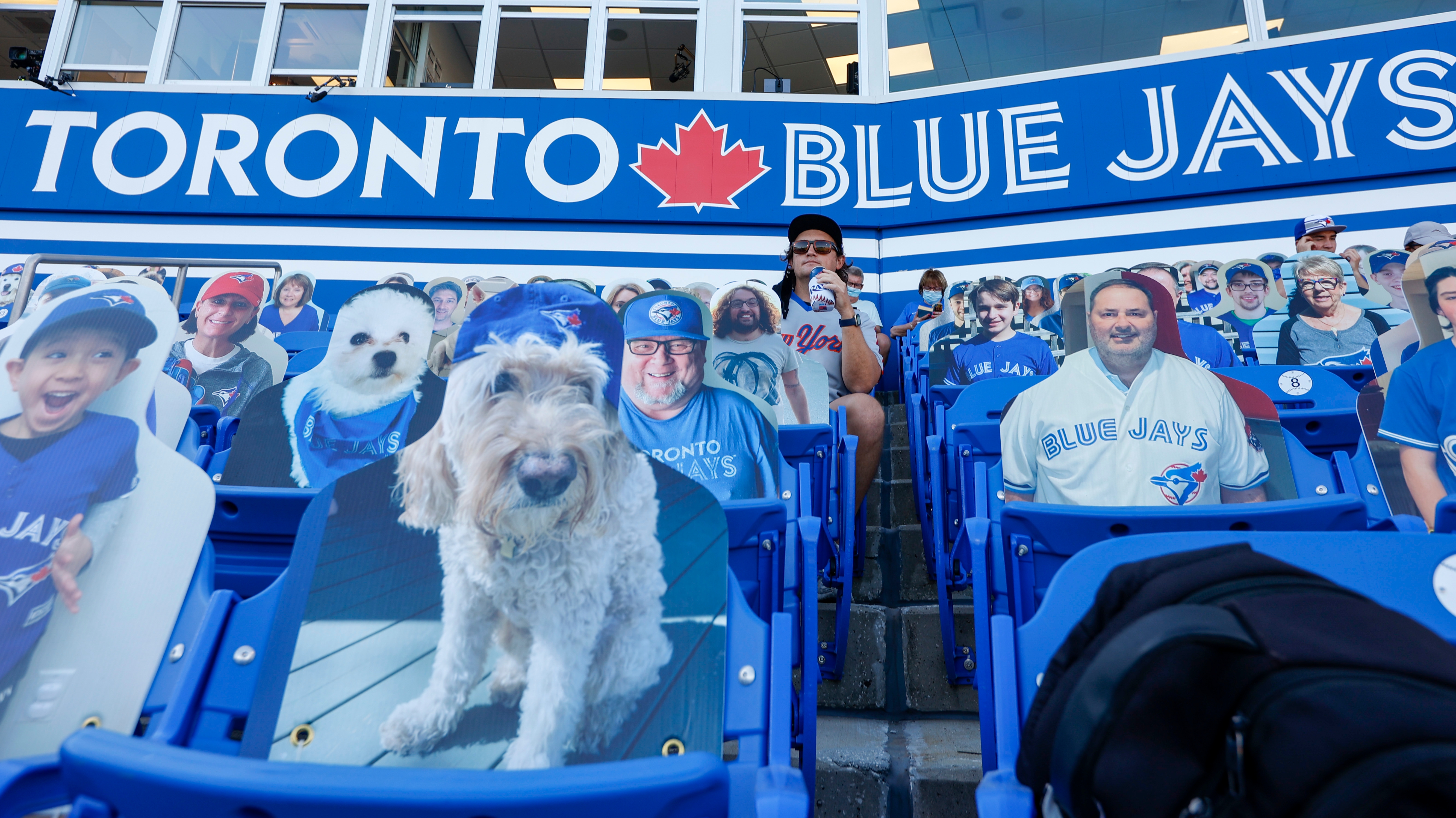 Rays take on the Dunedin Blue Jays - DRaysBay