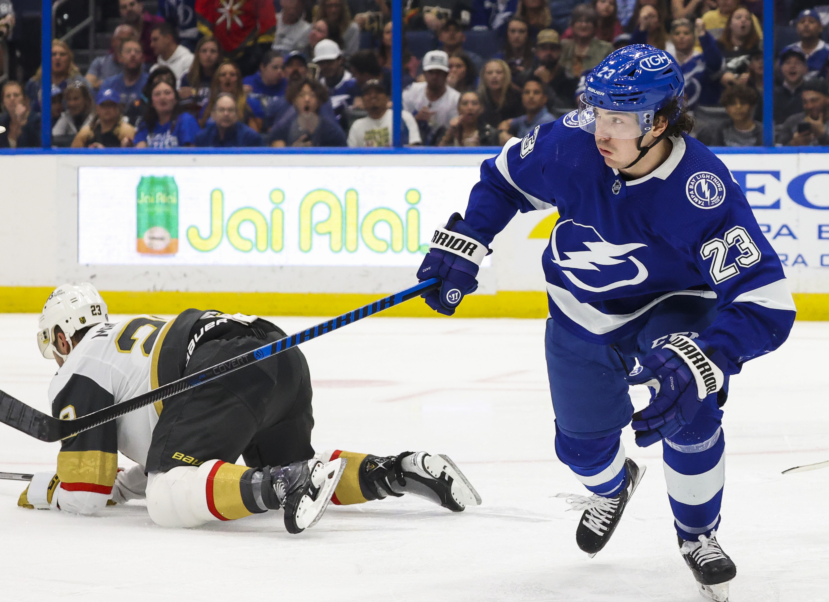 Tampa Bay Lightning Bolts - Destination Tampa Bay™