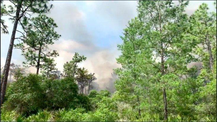 starkey park port richey halloween 2020 Starkey Park Closed As Pasco Firefighters Battle 75 Acre Brush Fire starkey park port richey halloween 2020