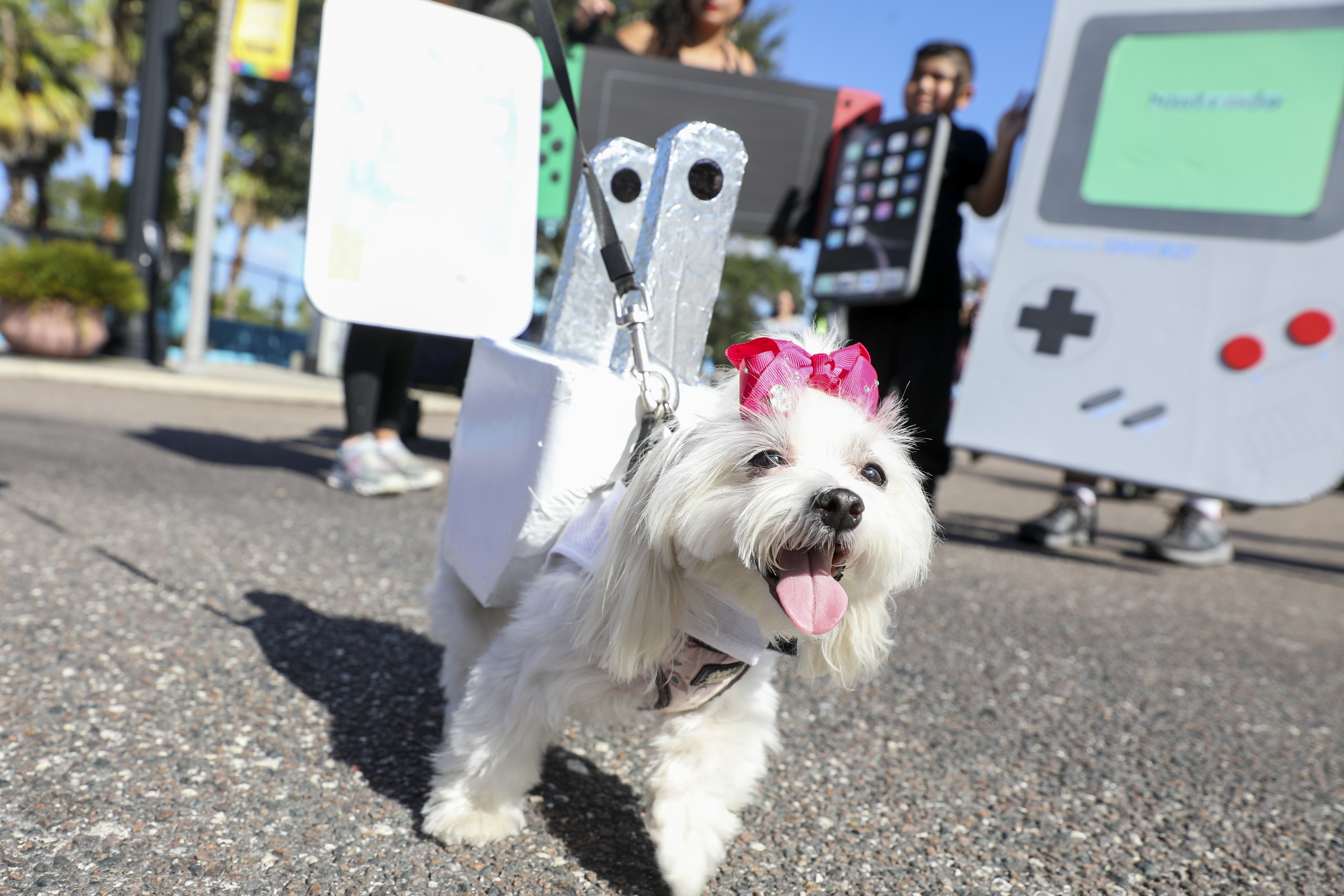 HOWL-O-WEEN Festival: Dog Costume Contest and Parade - Waterfront