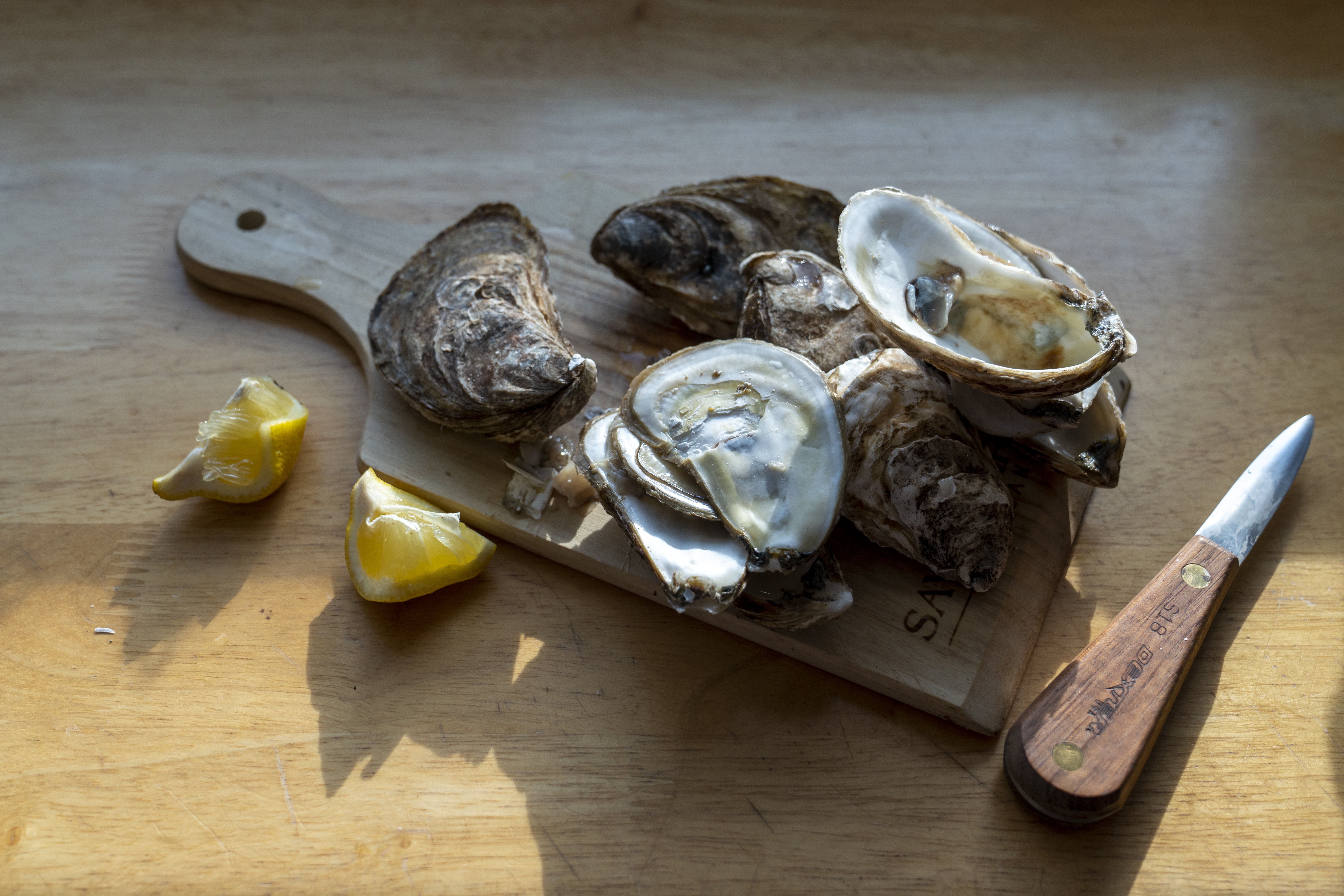 Busy Cooks Rejoice: Why Shucked Oysters Are a Time-Saving Kitchen Stap