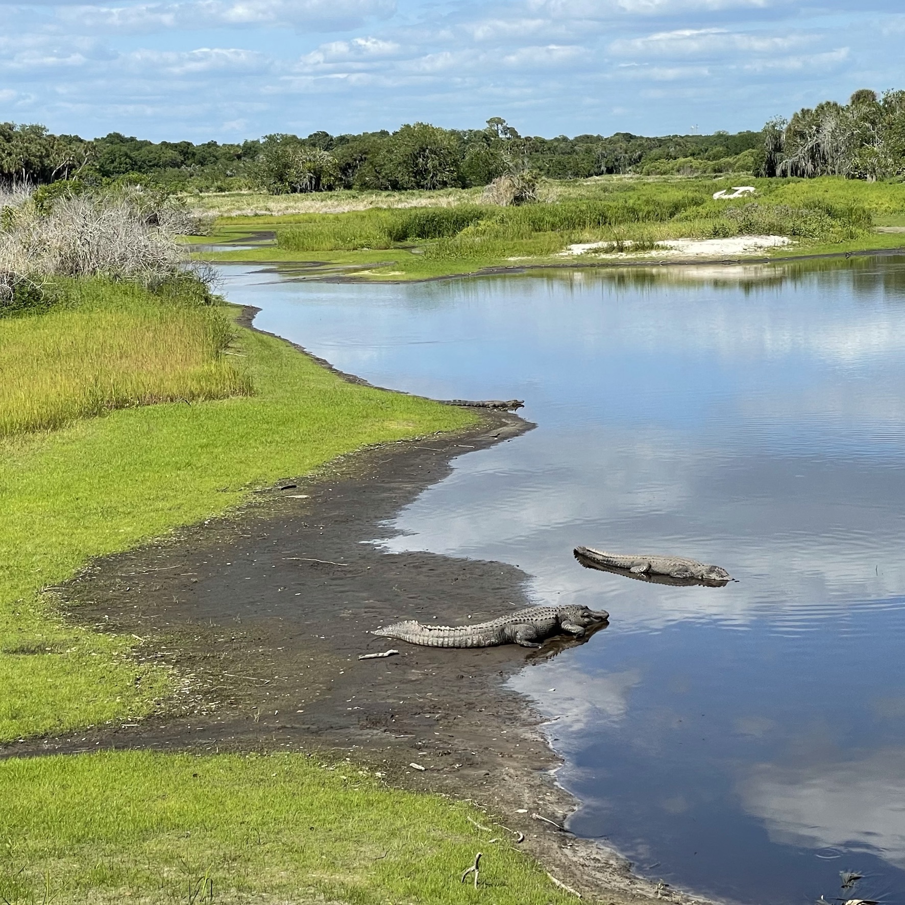 Developments in state parks spark