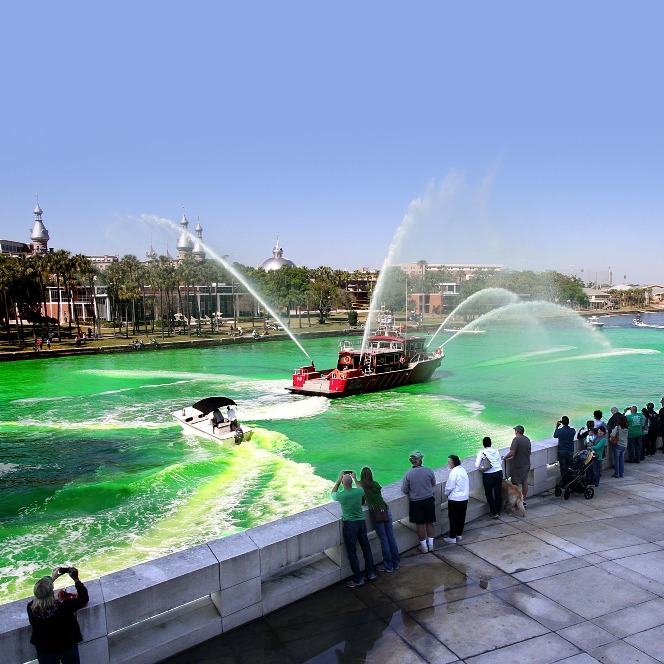 How to Celebrate St. Patrick's Day in Tampa Bay