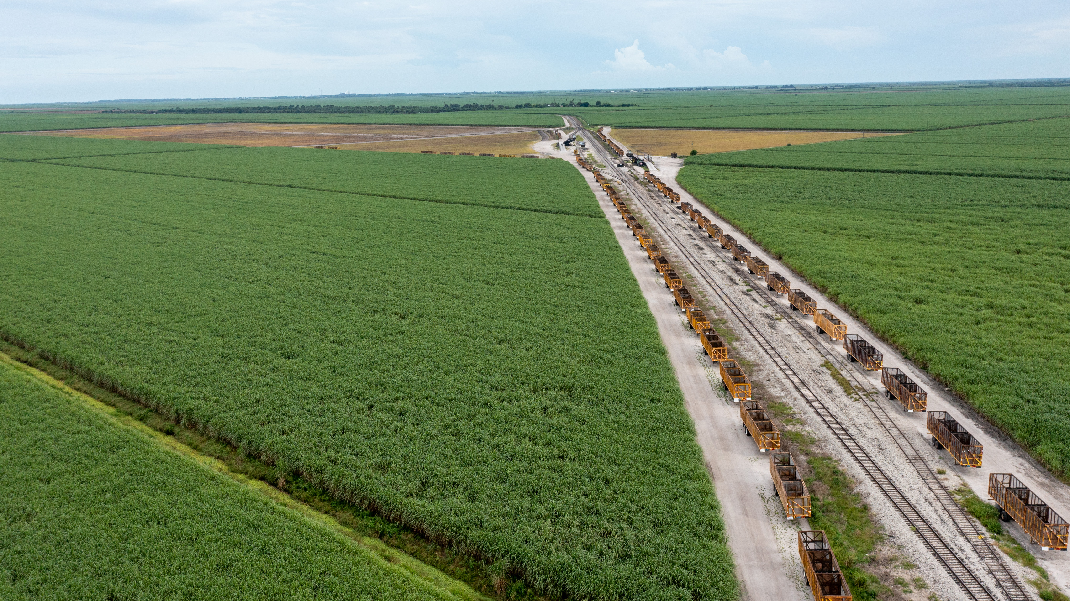 An aerial view of sugarland in Clewiston in South Florida. The land is part of the vast farmland that covers the Sunshine State and helps power its economy. 
