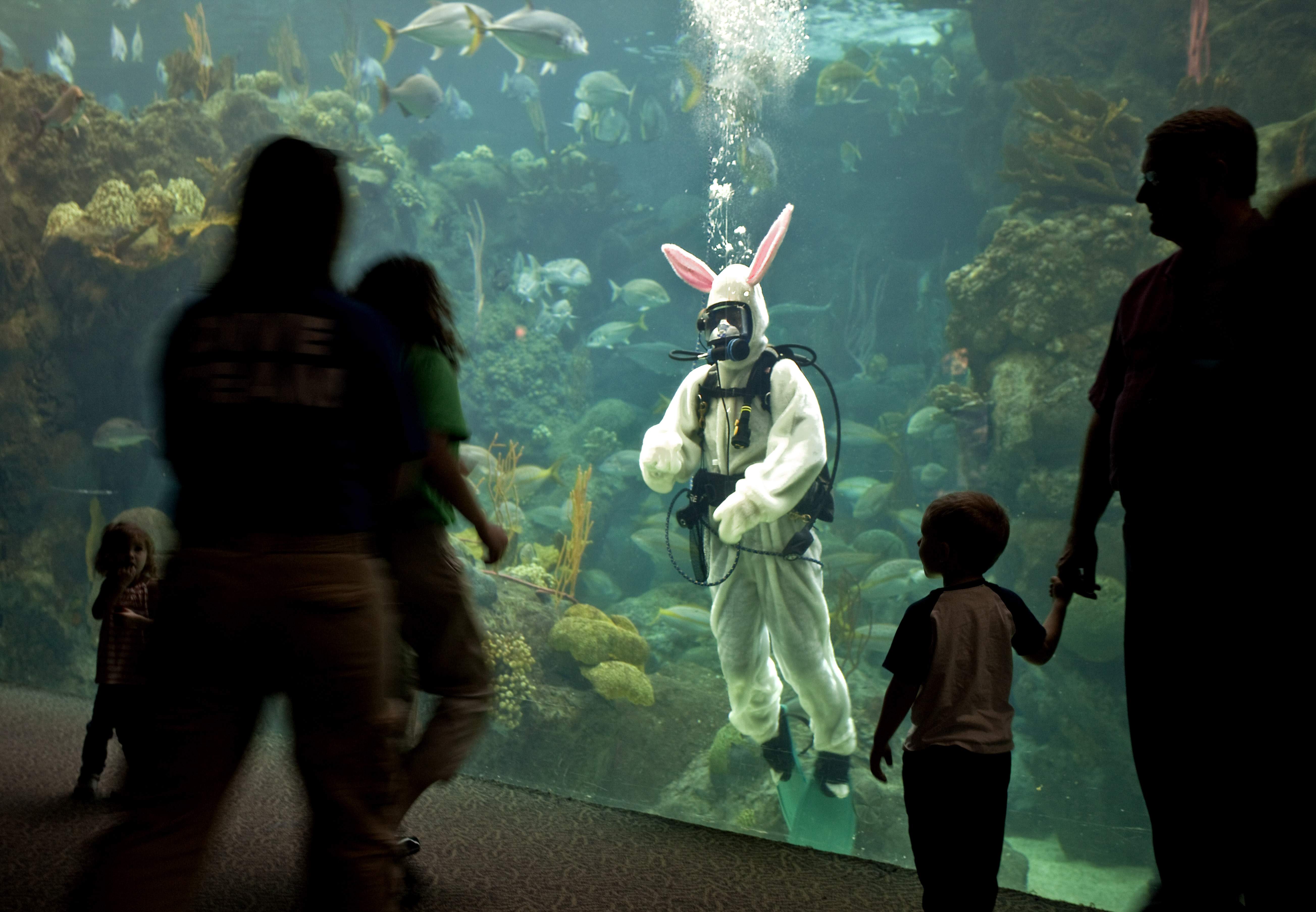 Easter events in Tampa Bay, from egg hunts to services