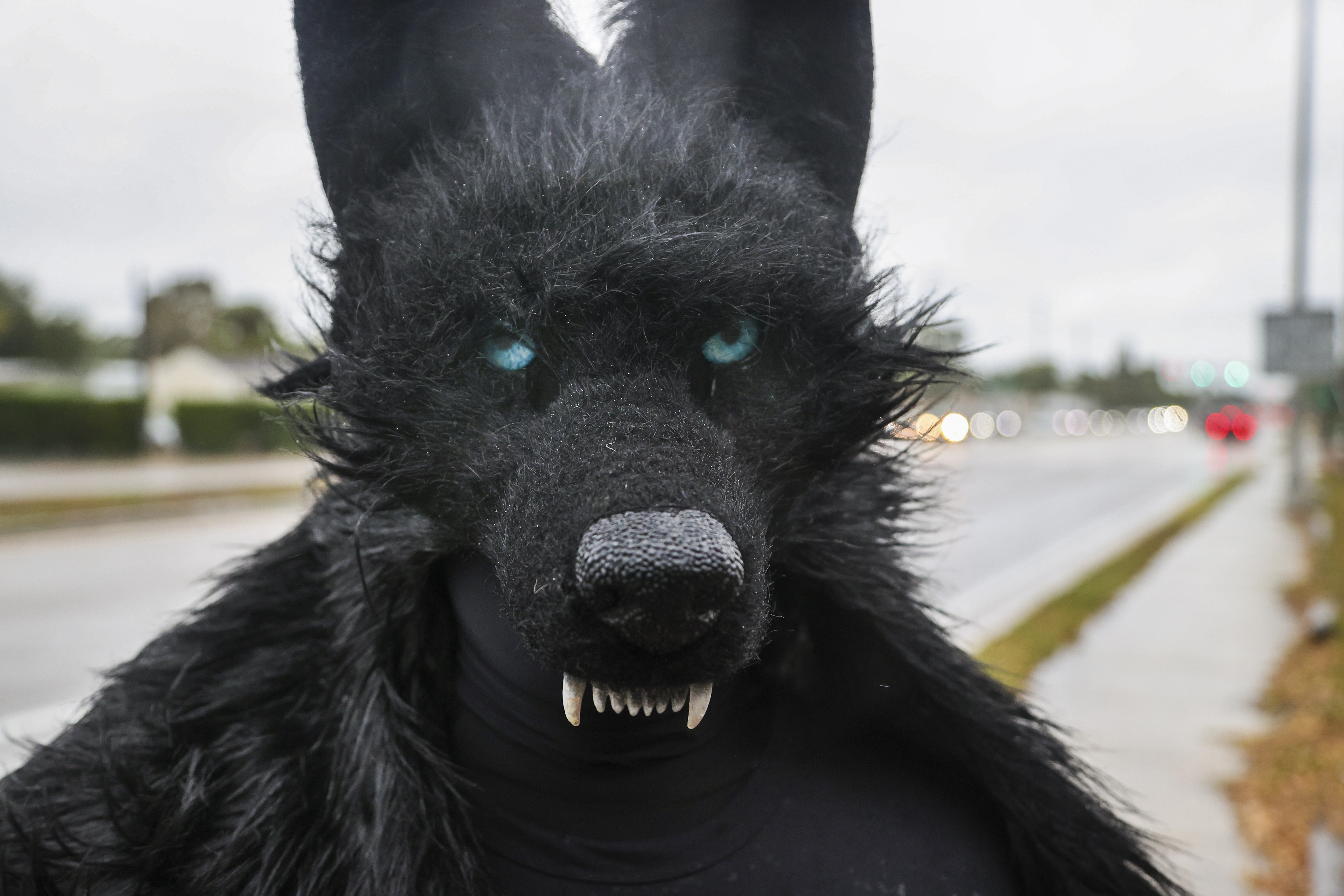 WOLFS HEAD ウルフズヘッド TRASH HEAD トラッシュヘッド コットン ツイル パンツ black tiger ブラック タイガー W34 TH-P1 メンズ Trash Wolf prowls the streets of Tampa Bay. Who is he?